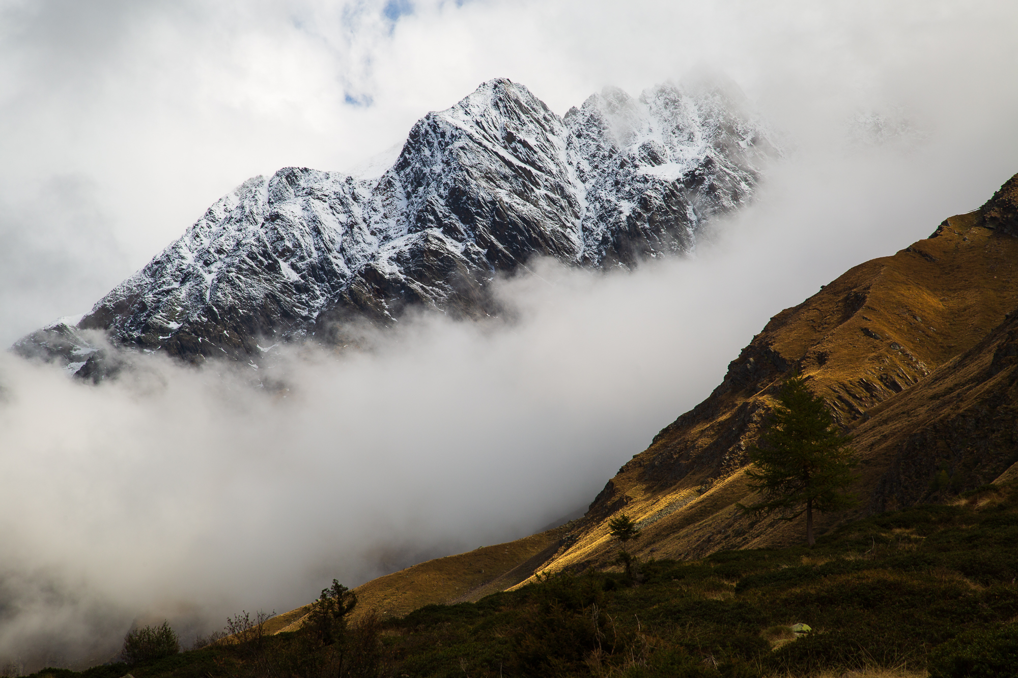 Tra autunno e inverno