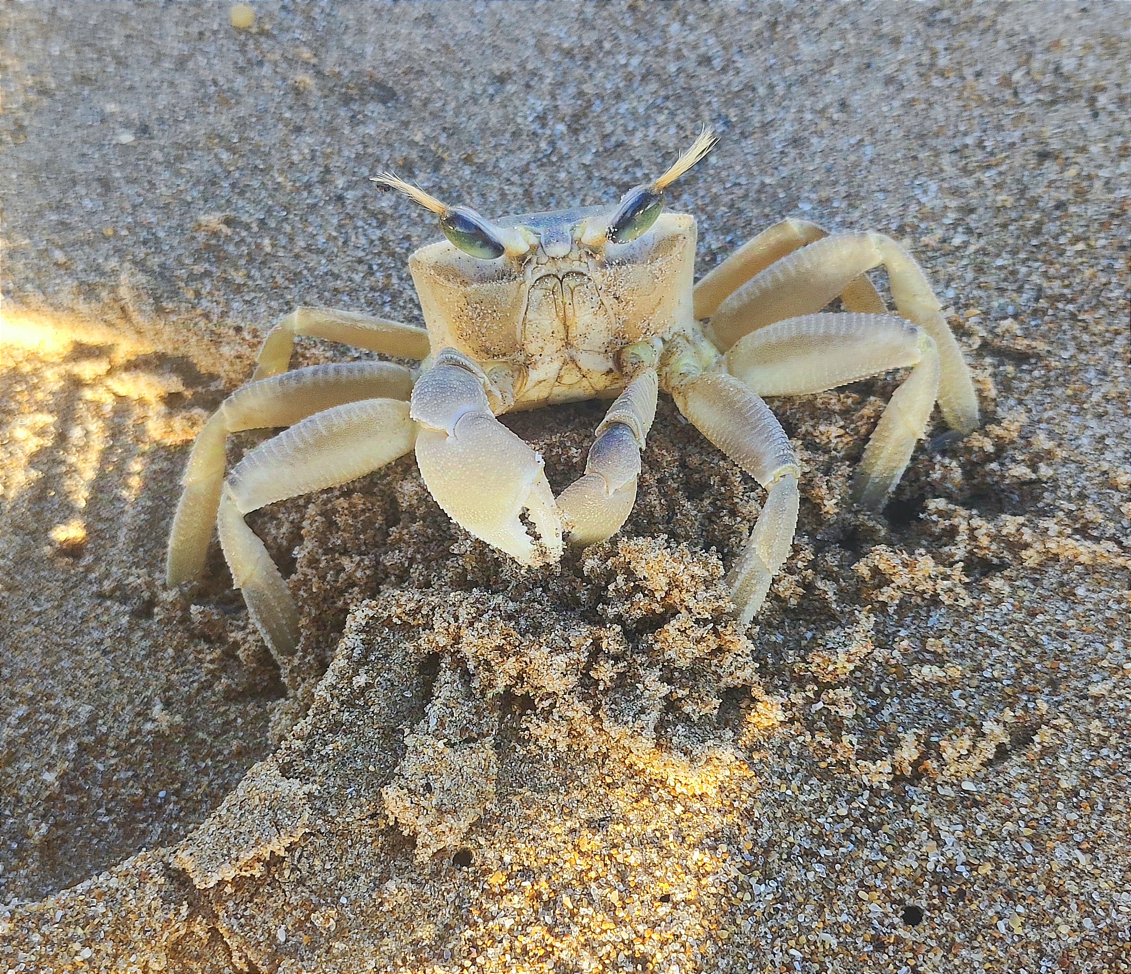 Close encounters of the third kind