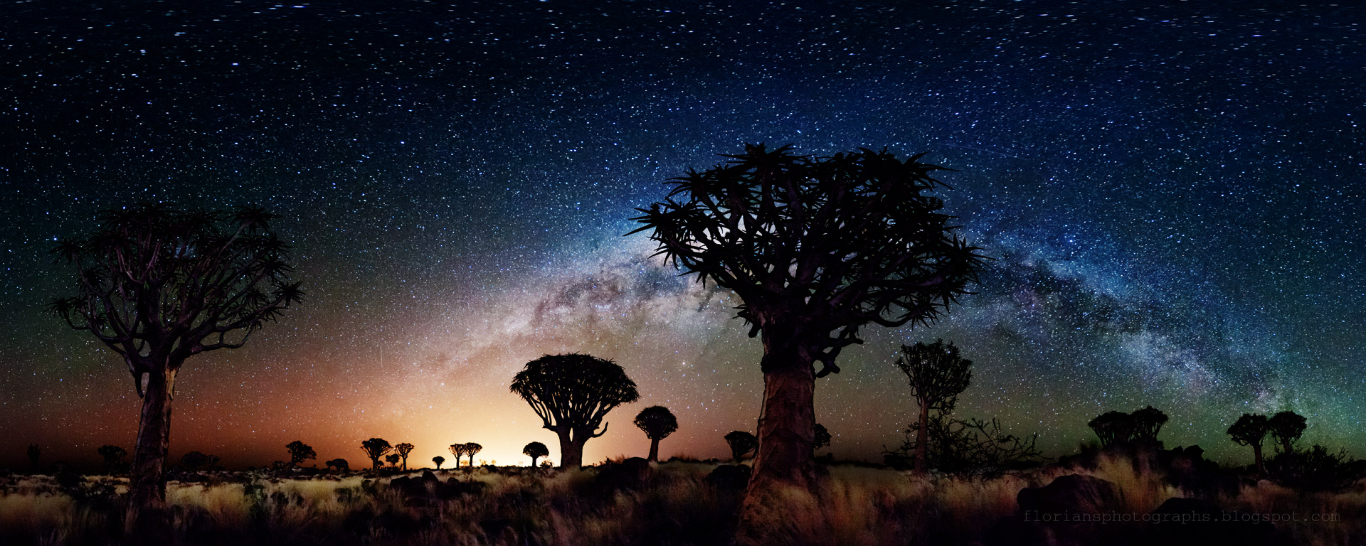 Faretra Alberi Notte 2