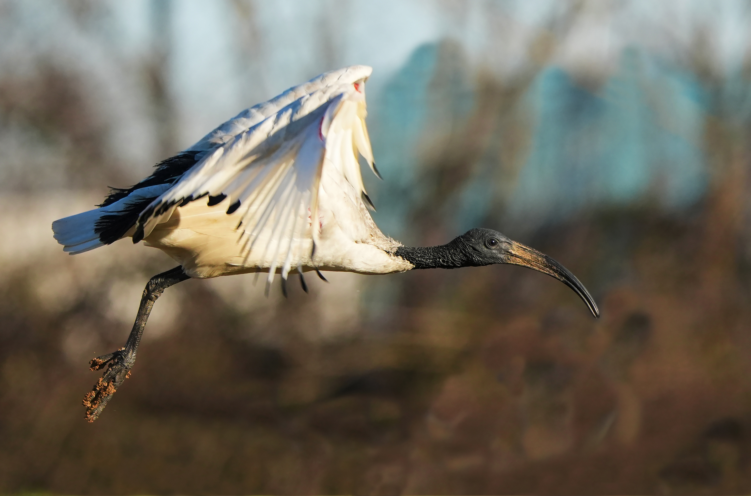 Portrait on the fly