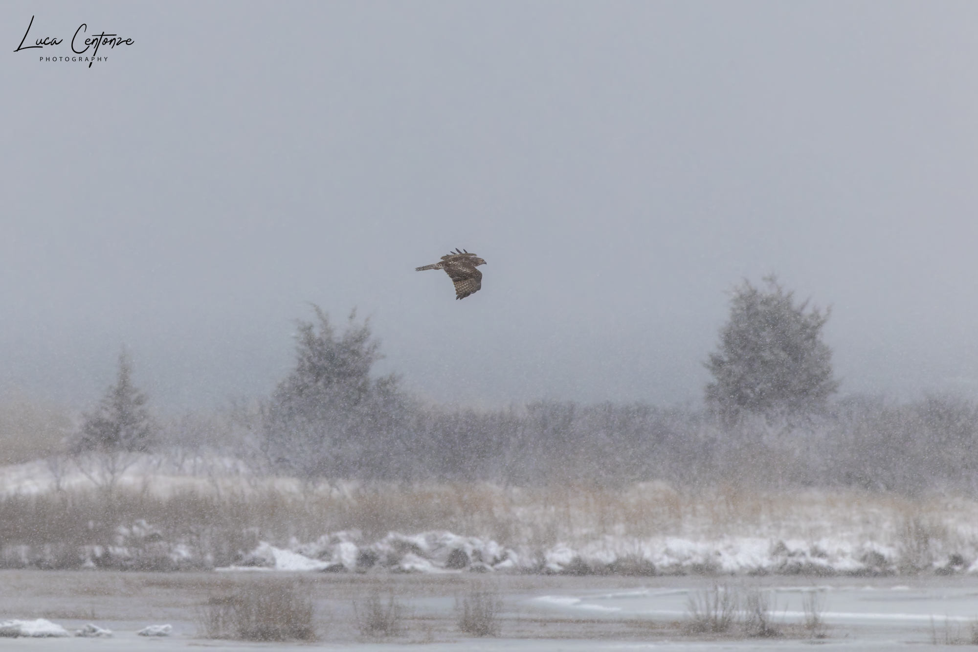 Inverno in Massachusetts