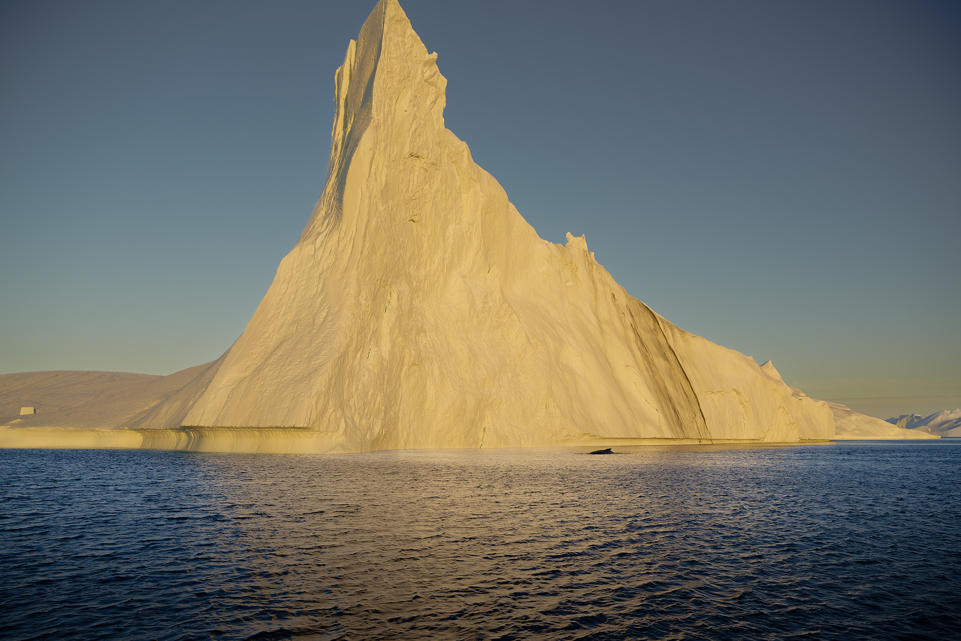 Ice and whales. Greenland