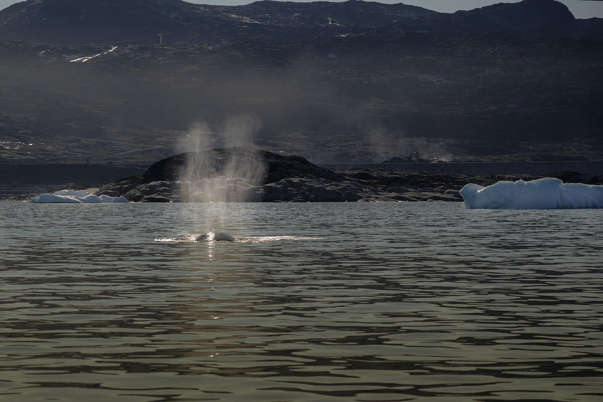 Puffs from the Deep: Greenland