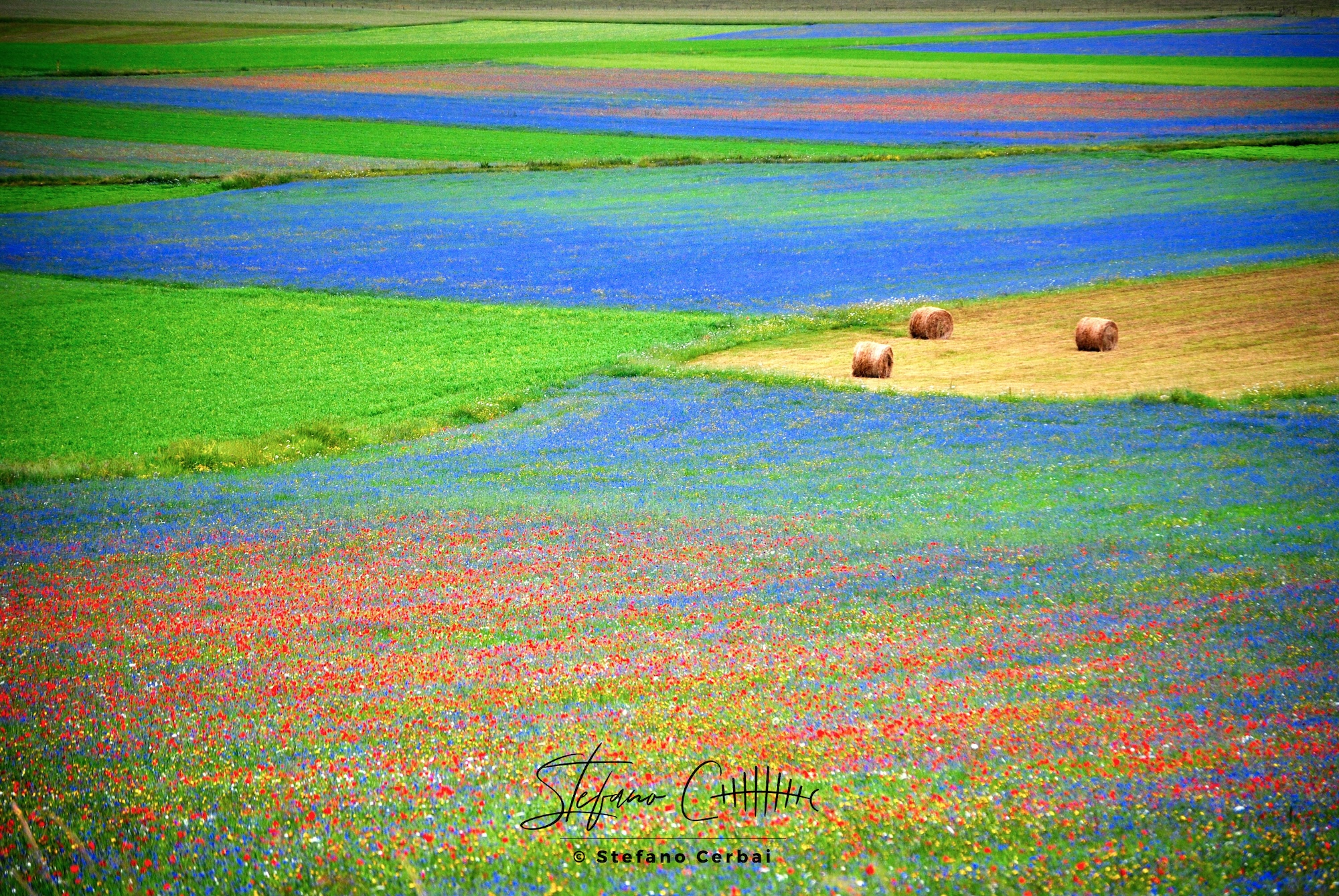 Castelluccio di Norcia
