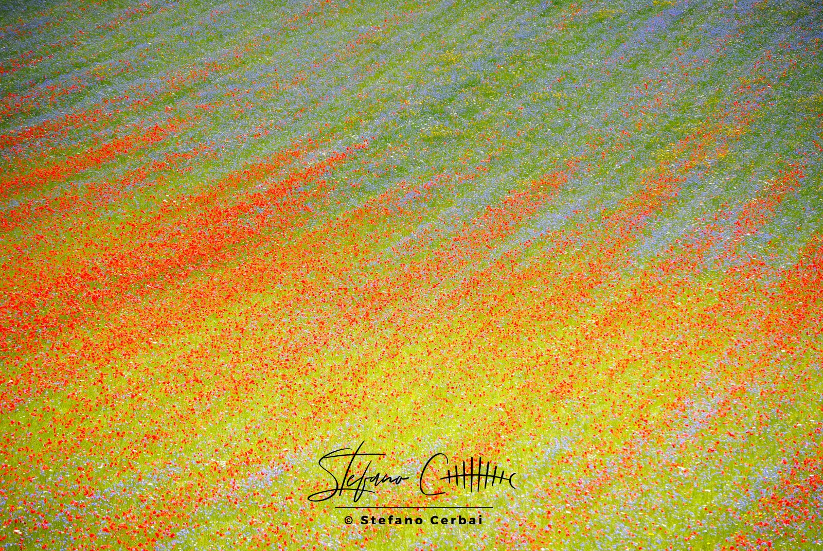 Castelluccio di Norcia
