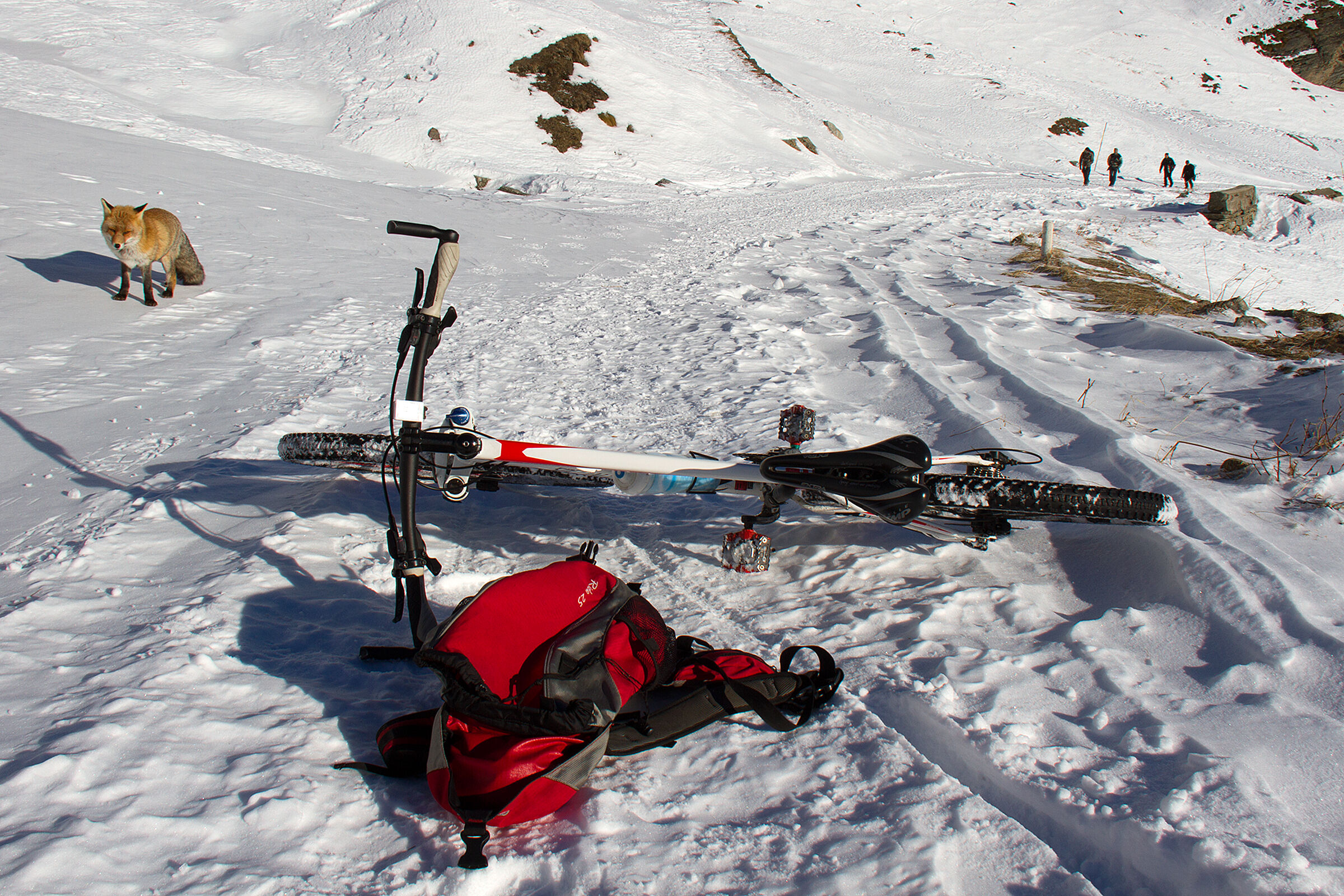 Beware of quadrupeds - MTB descent from L. Serru