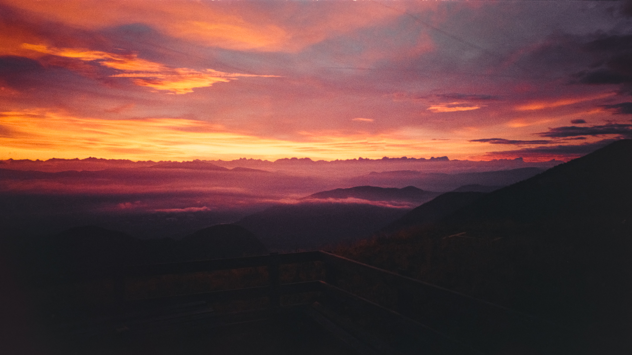 Untitled Photo