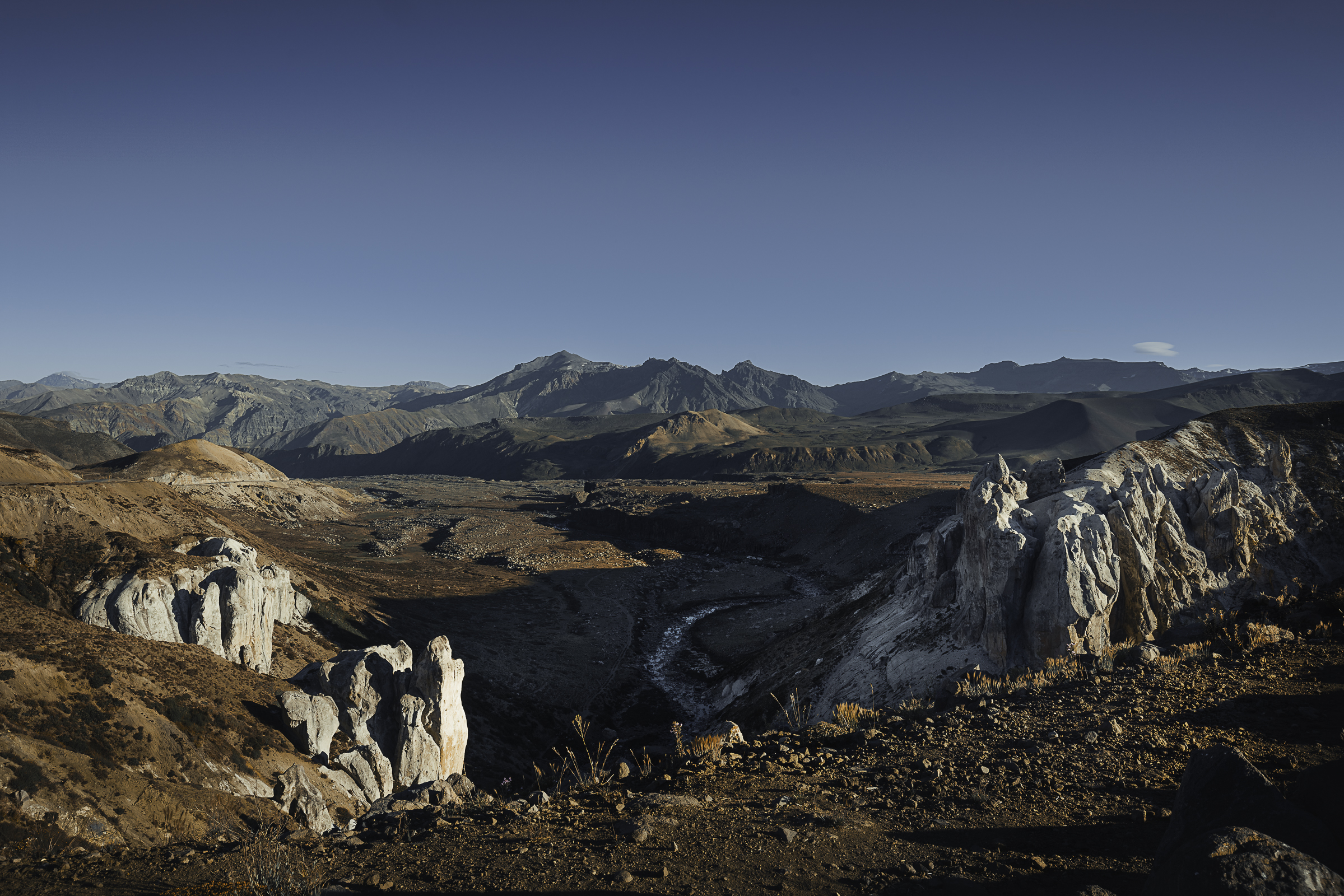 Le terra dei Pehuenche