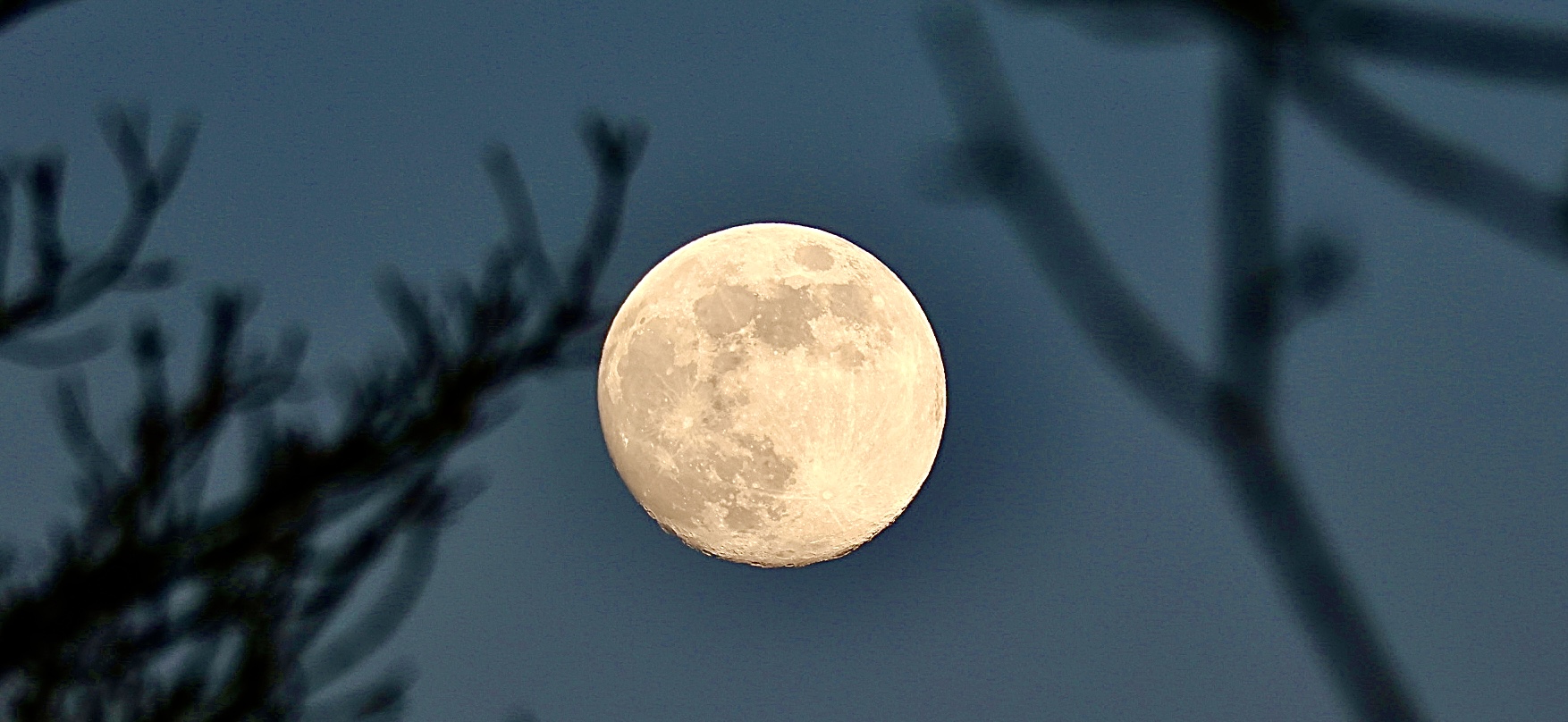 The seventh moon ? ......