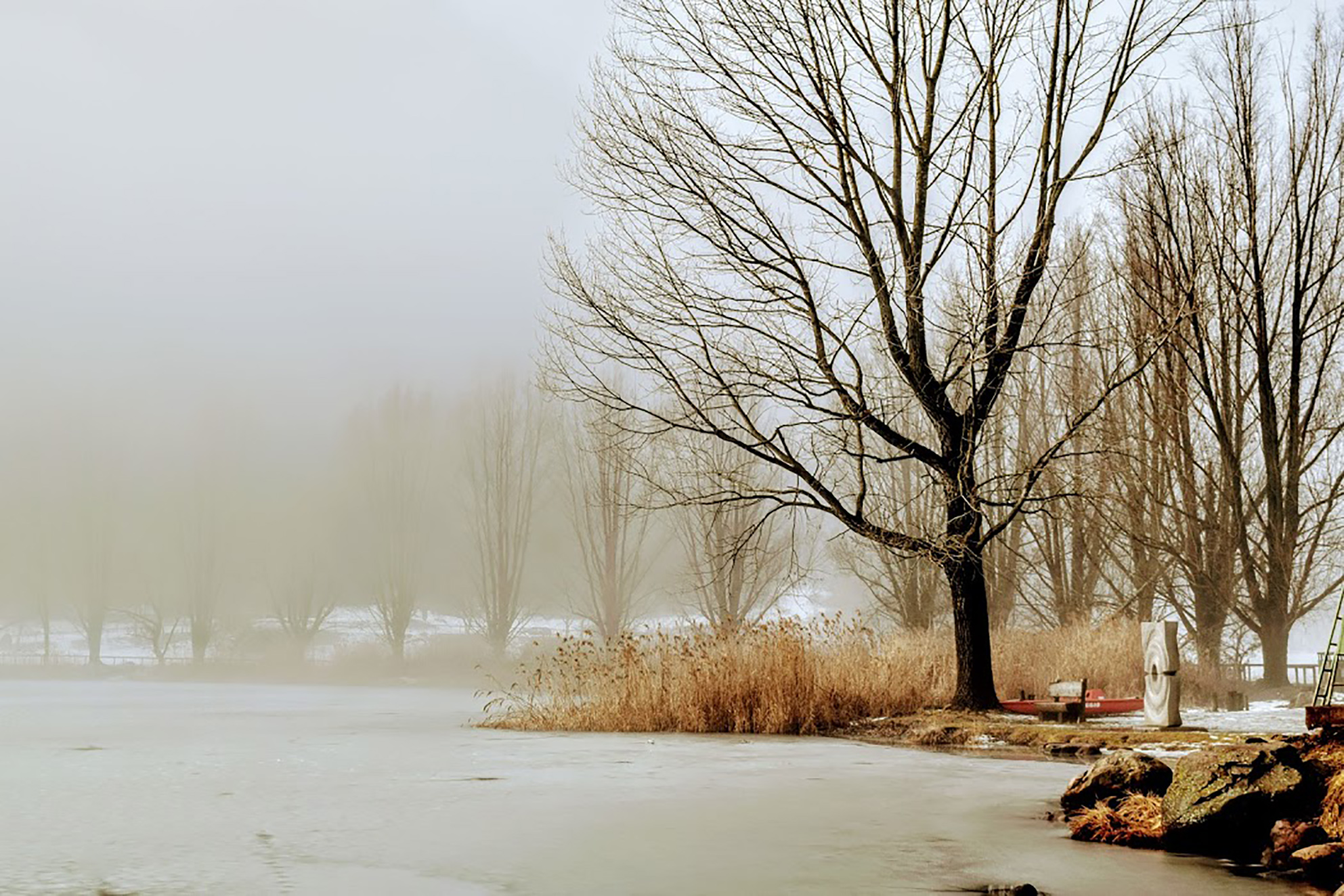 Lake Lases
