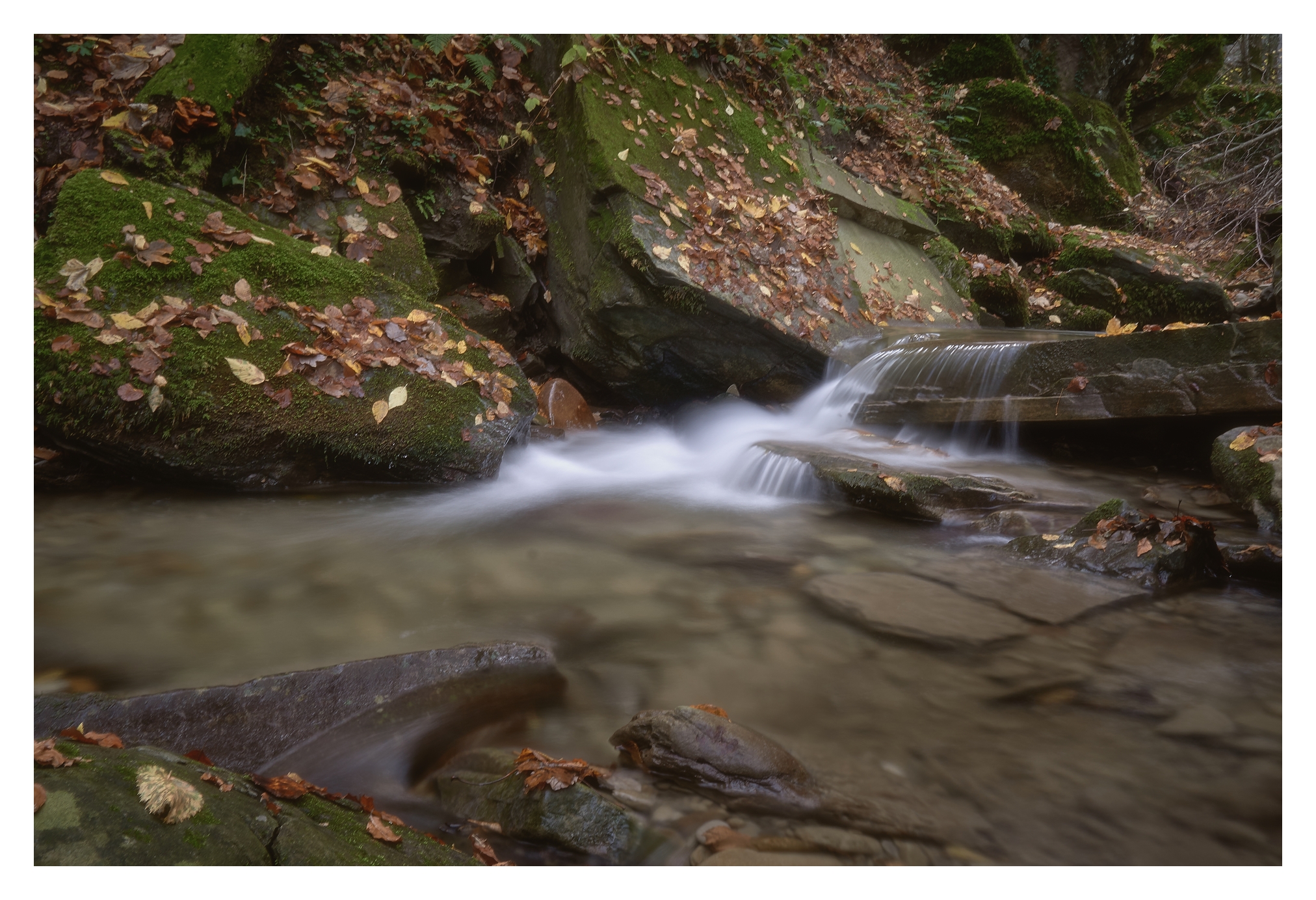 Fiume Bidente