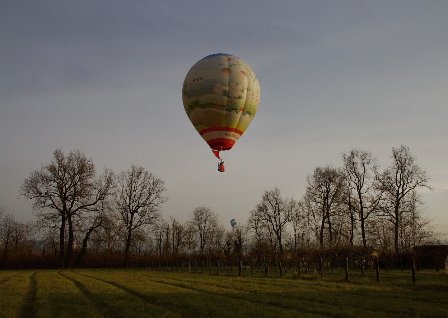 Balloon