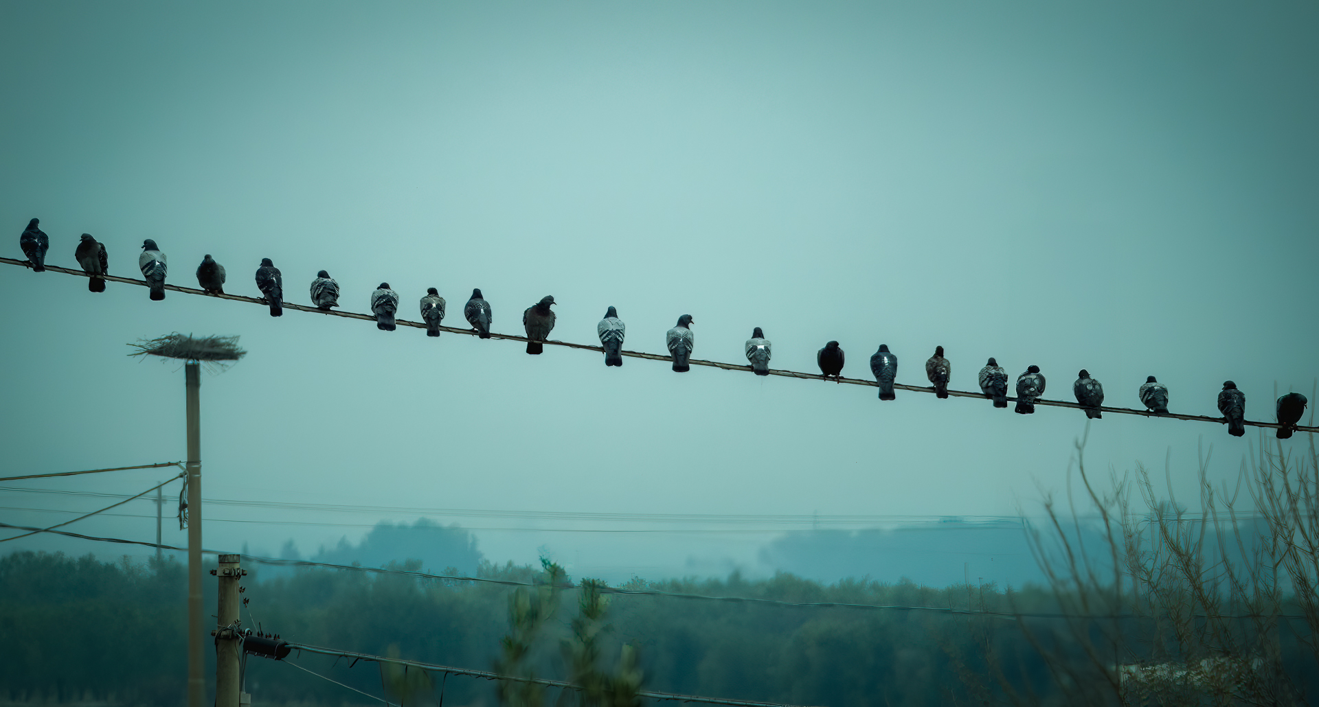 From the window of the house