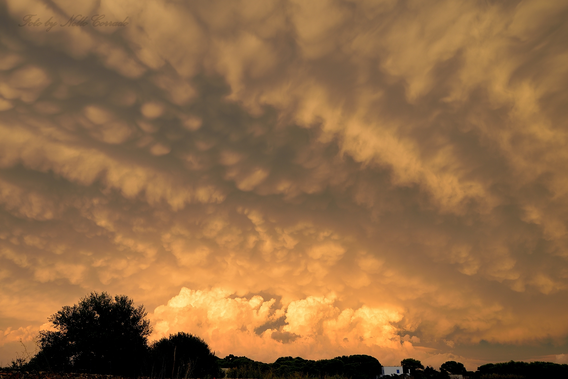 "mammatus" clouds