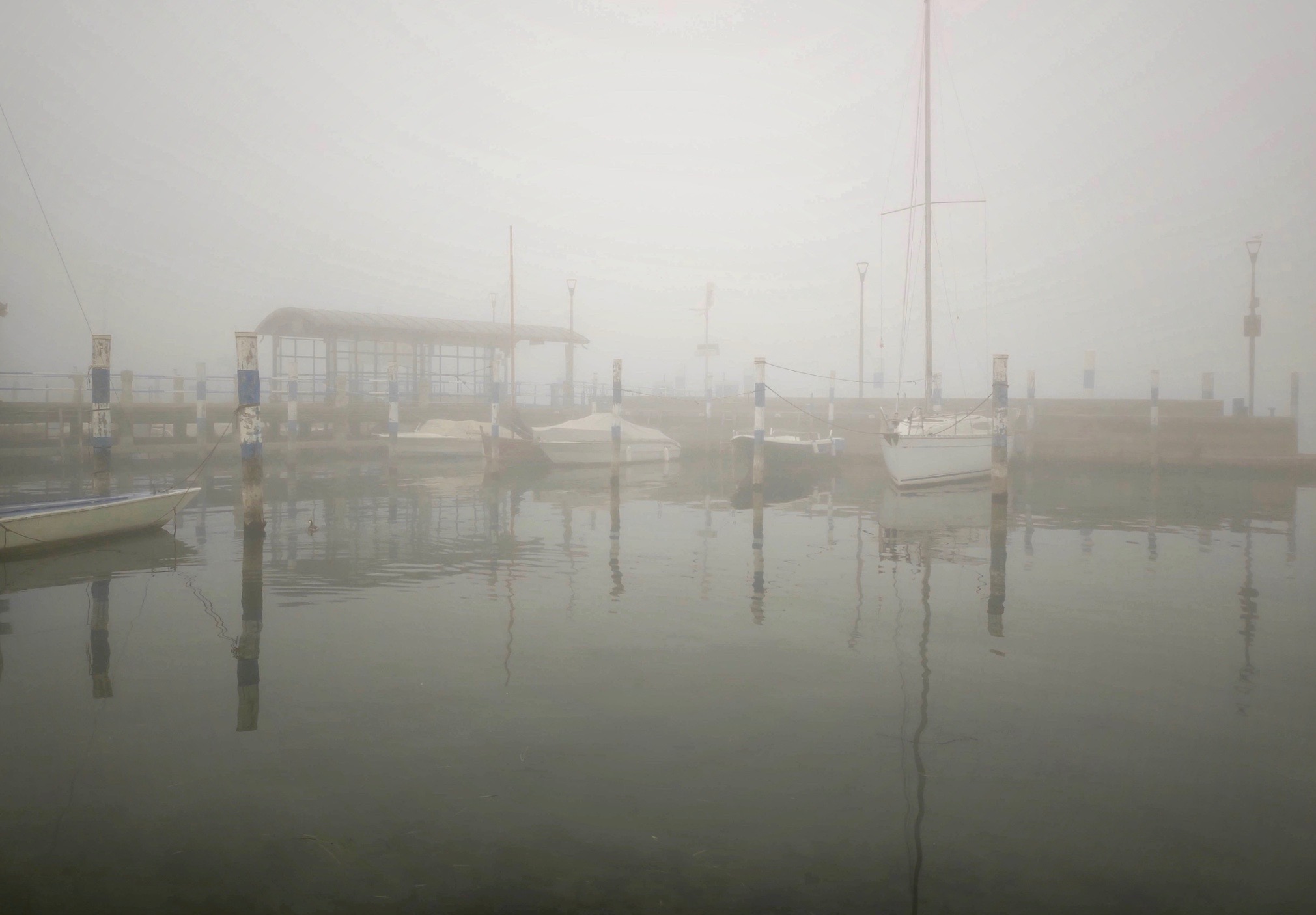 The fog hides without disappearing