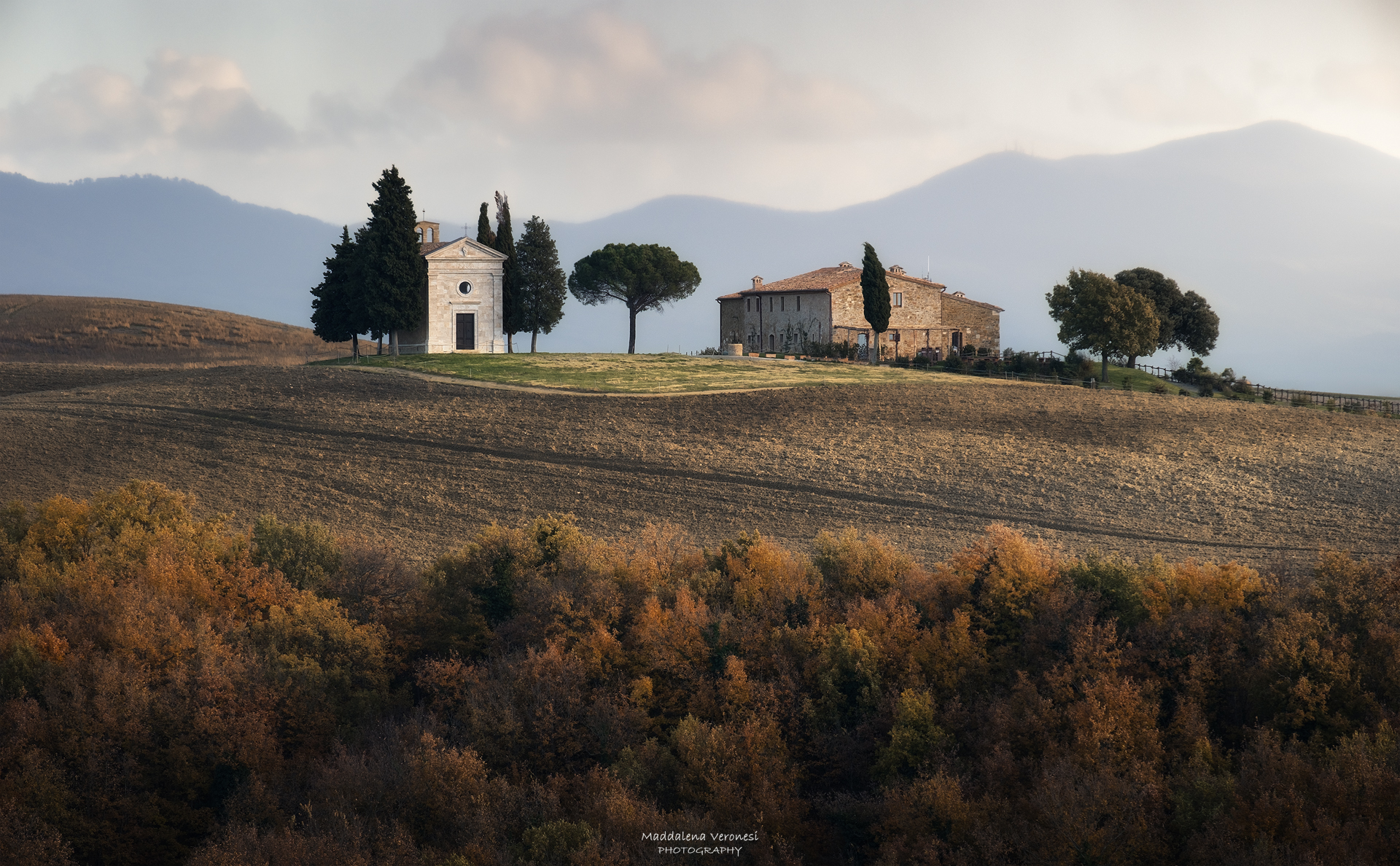Vitaleta