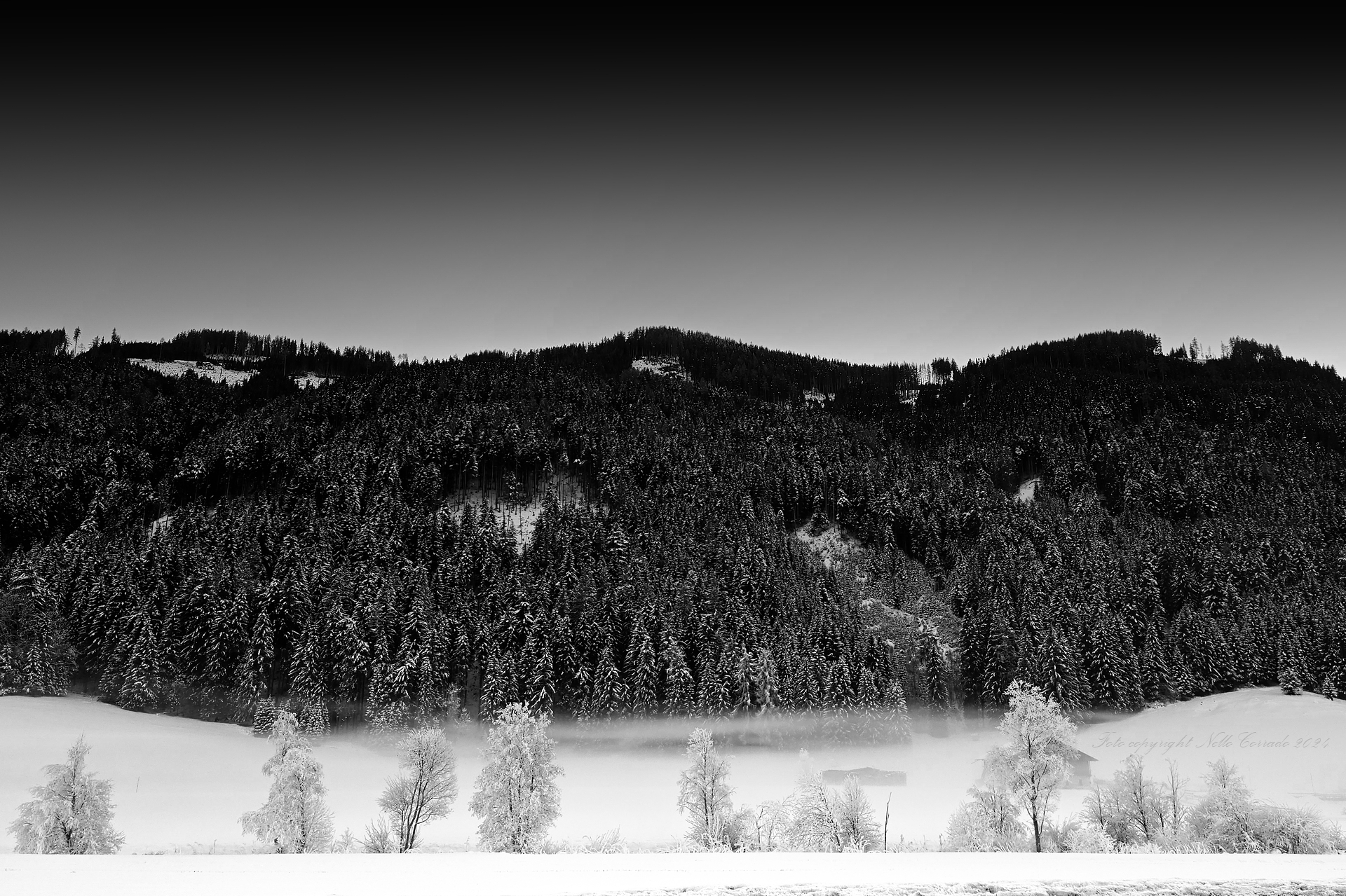 frozen landascape