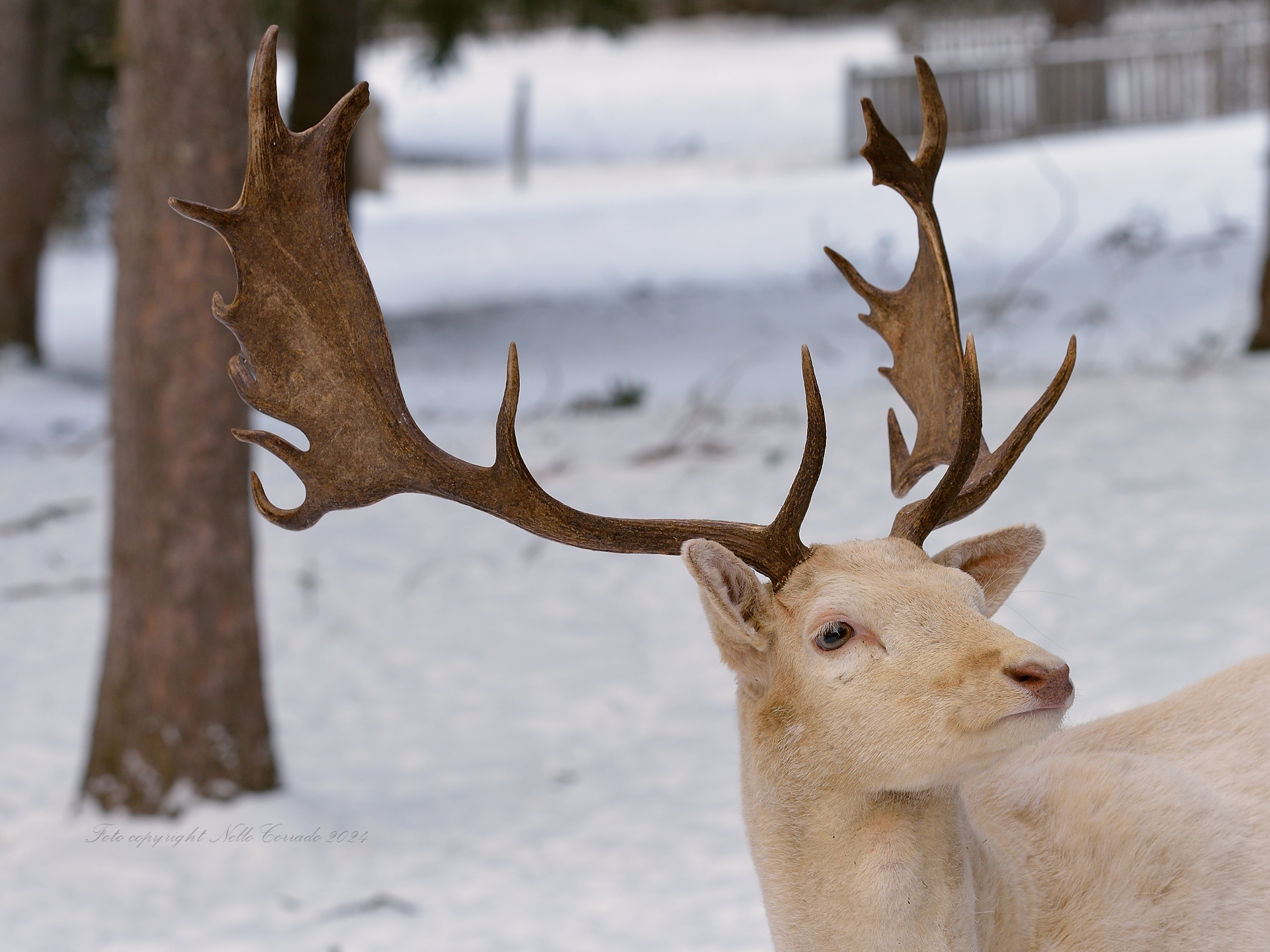 I flaunt them with pride!