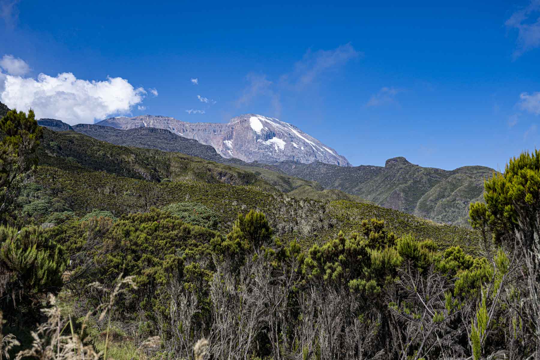 Kilimanjaro seen from the Machame route