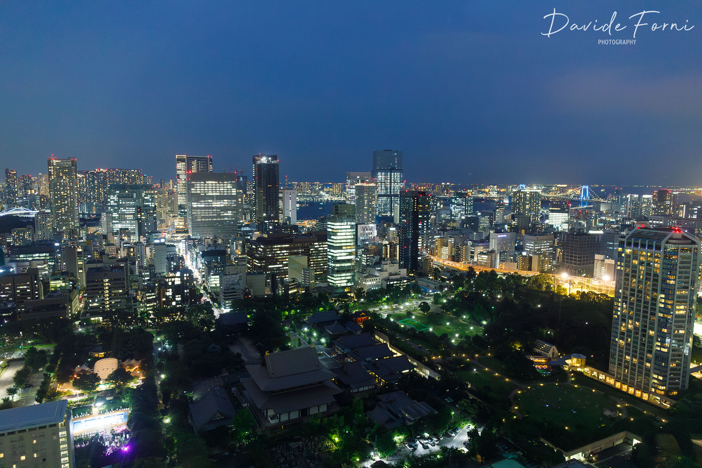 Notturno su Tokyo dalla Tokyo Tower