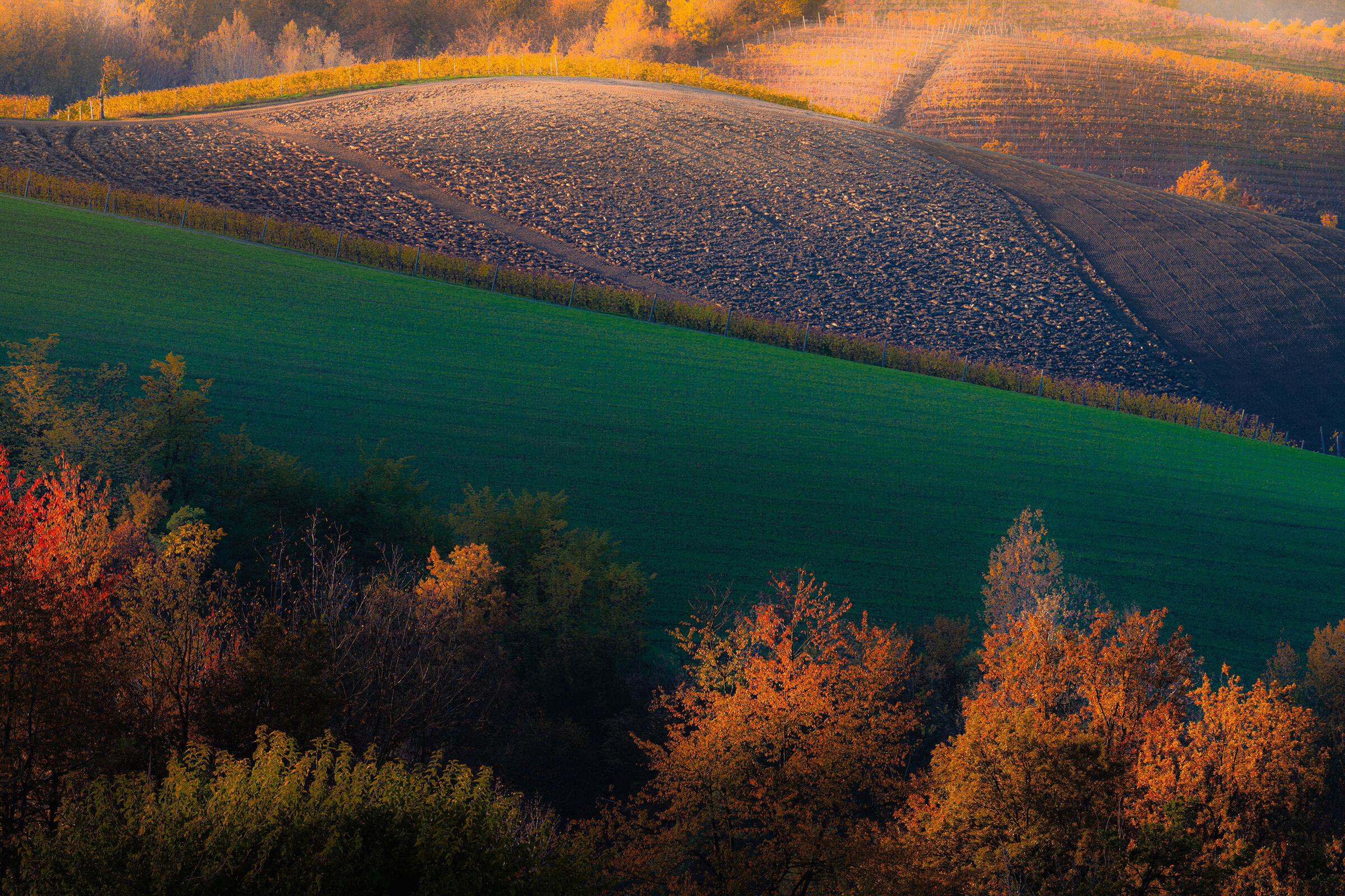 Autumn shapes and colors