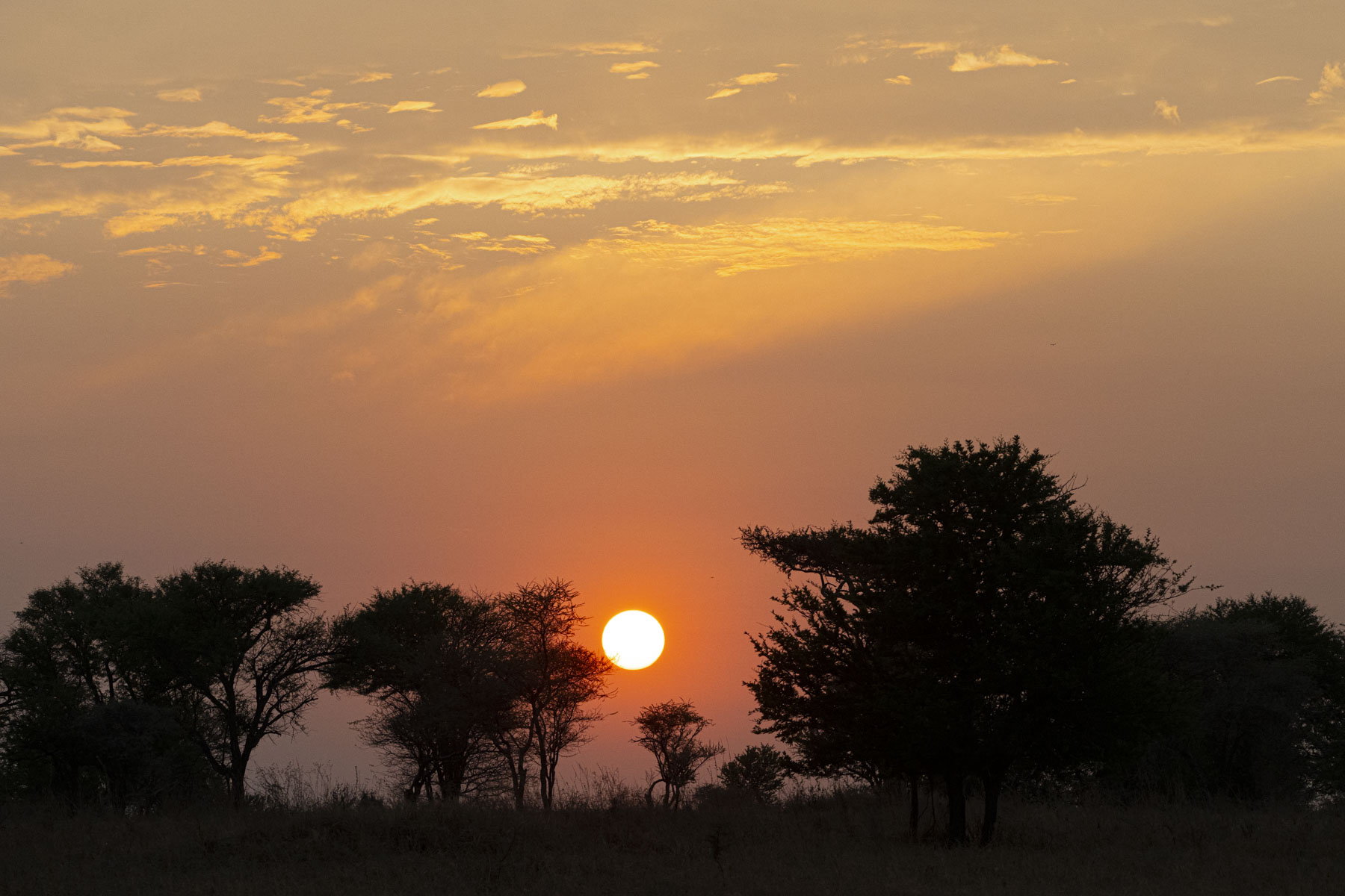 Sunset in Serengheti