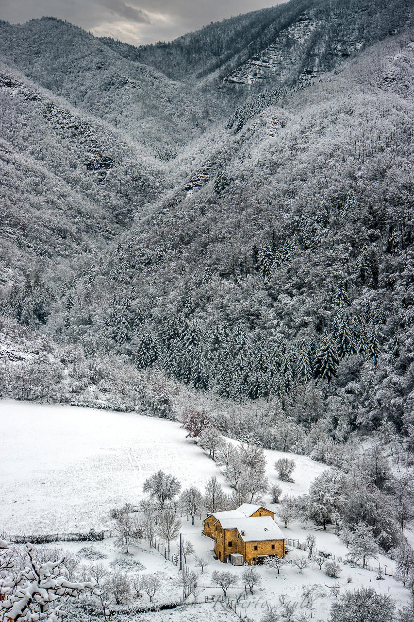 La casetta nel bosco (Spugna)