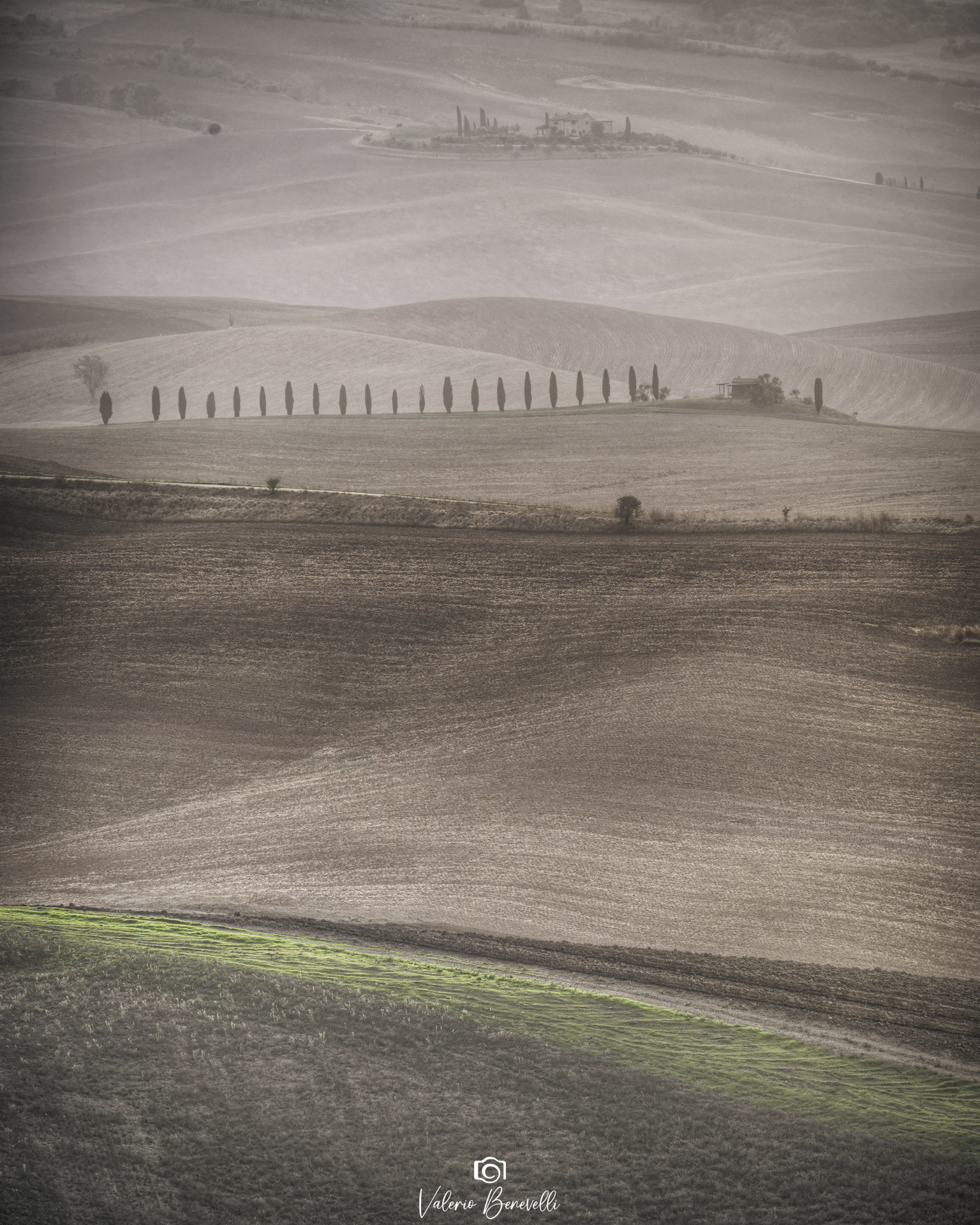 Intertwining of fields in Val D'Orgia