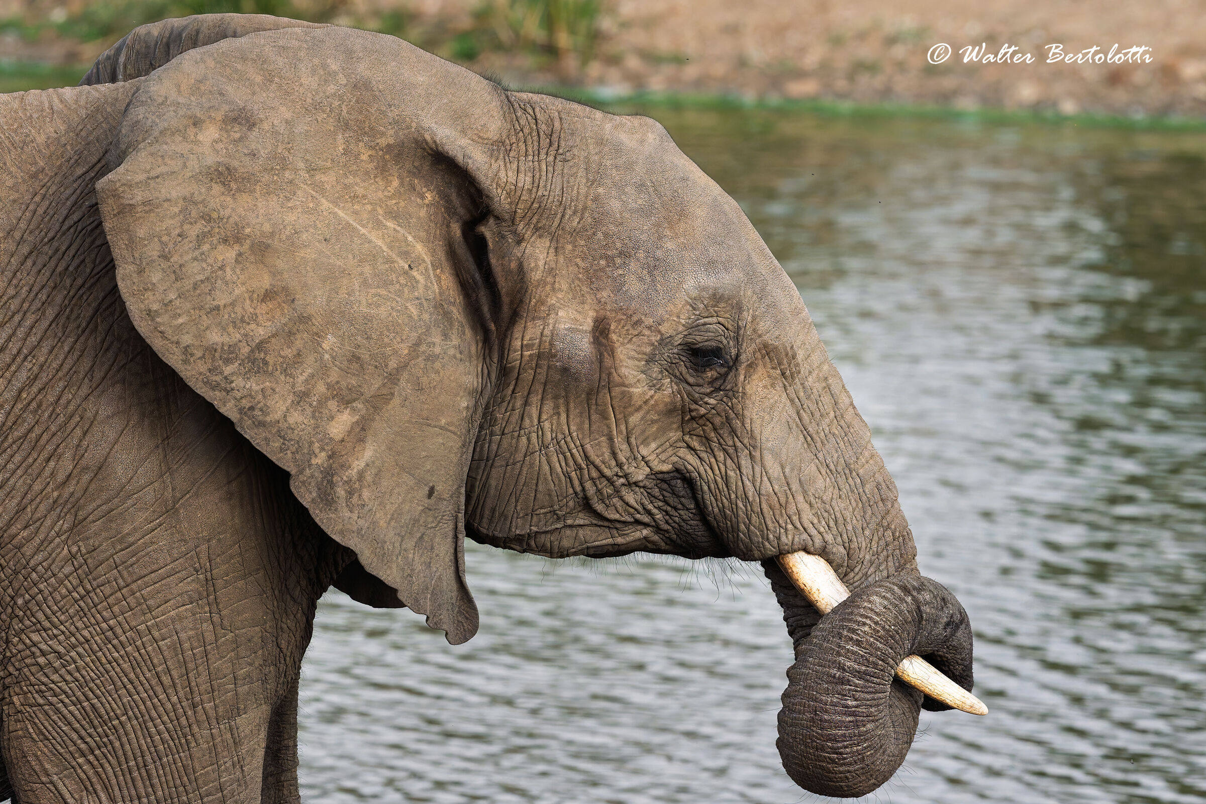 il nodo della cravatta