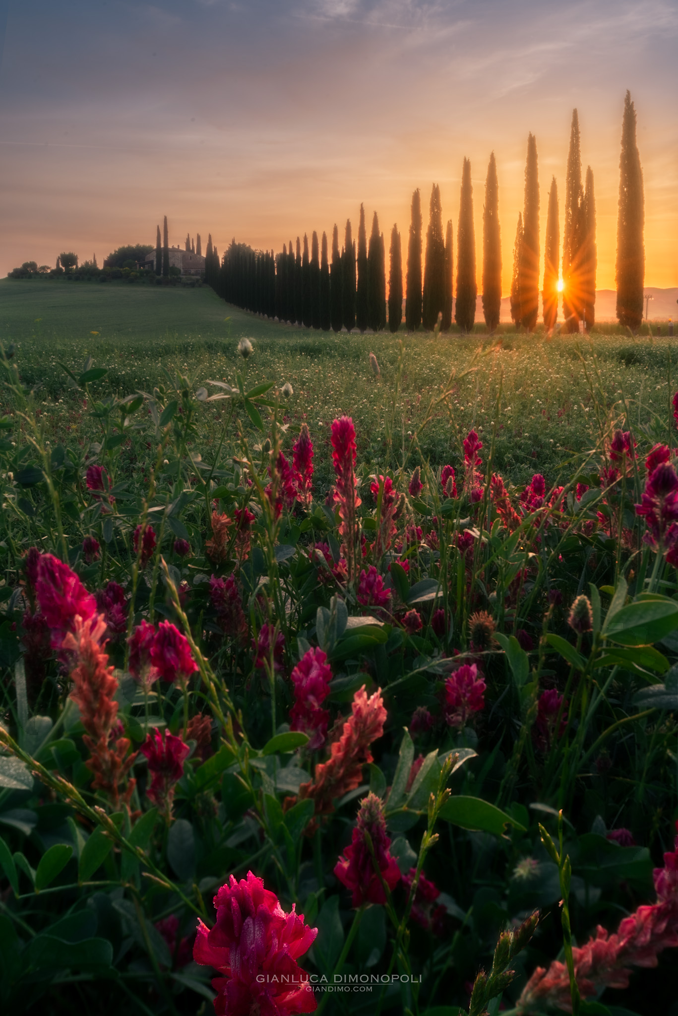 Sunrise at Poggio Covili