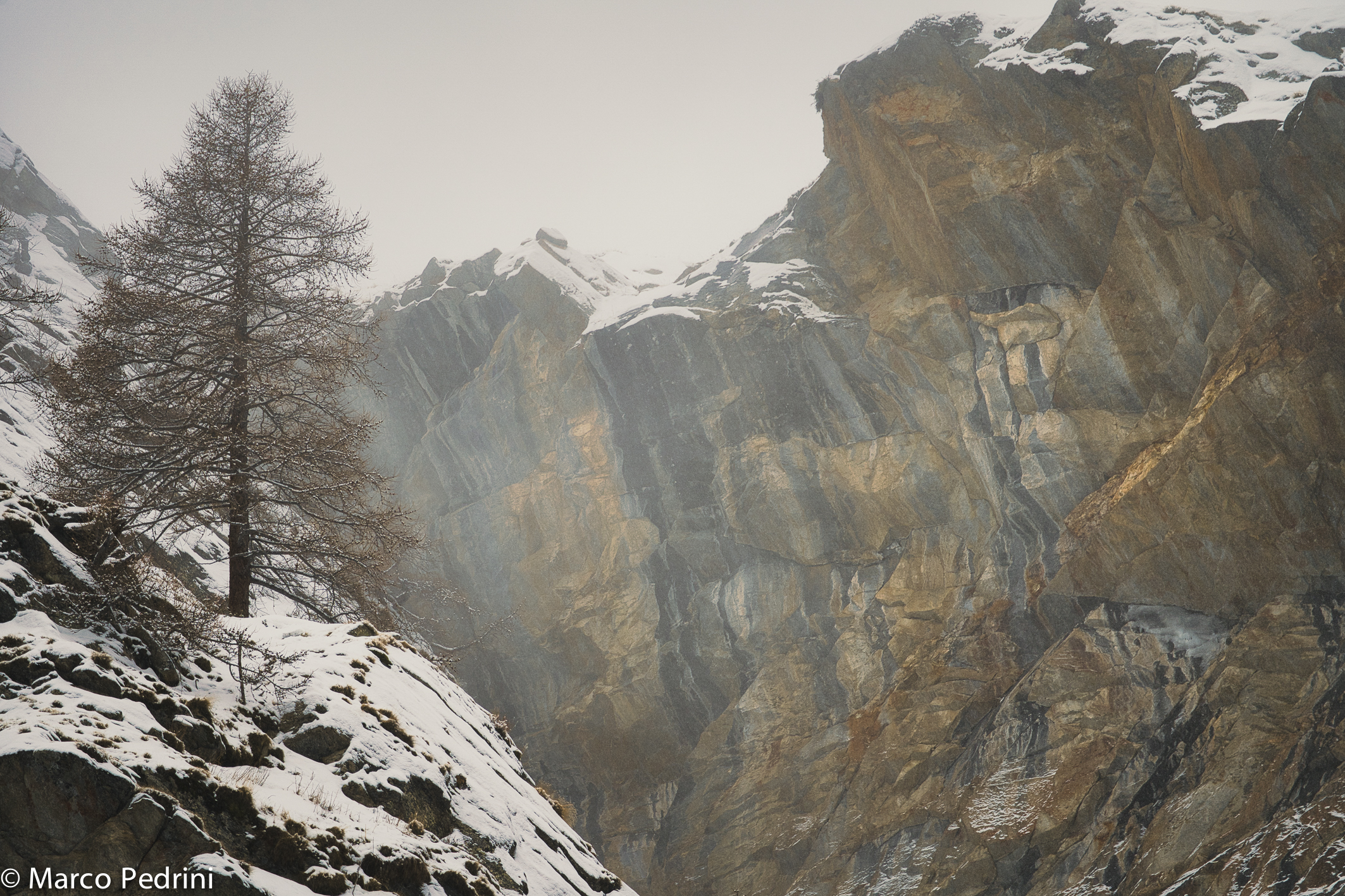 Senza Titolo