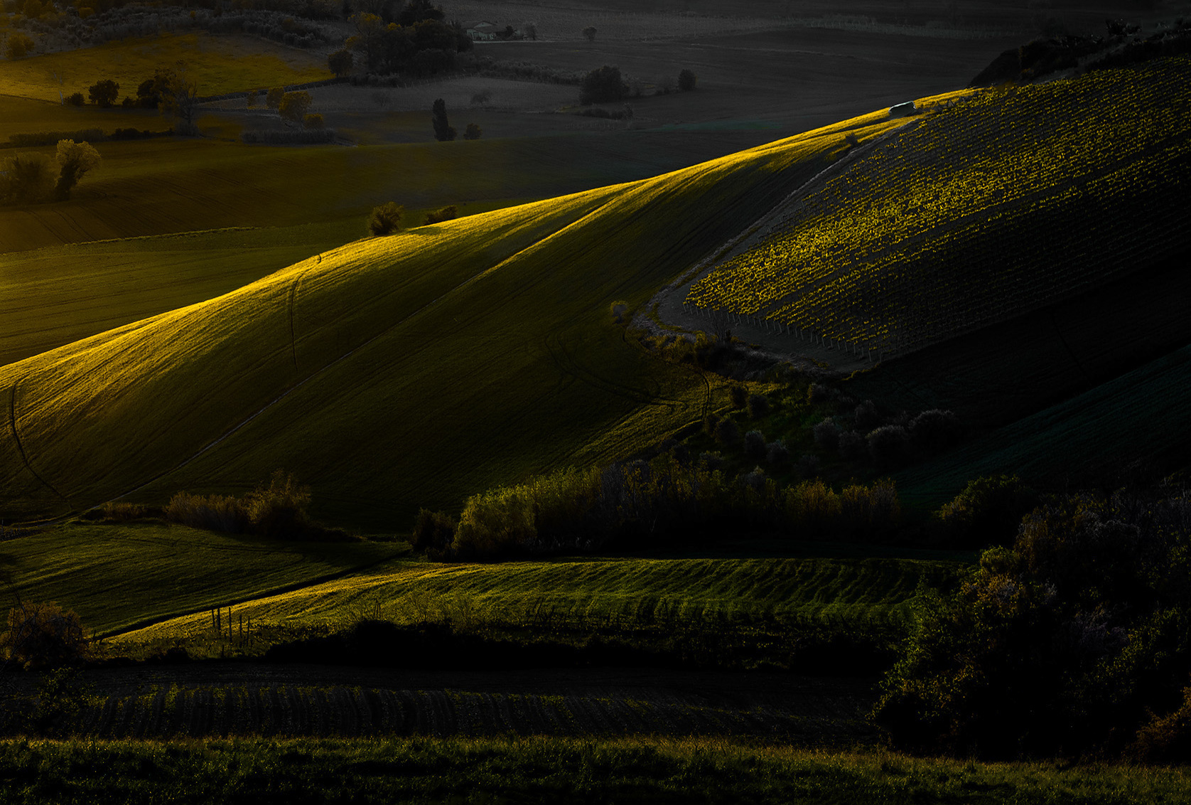 Ai confini della luce