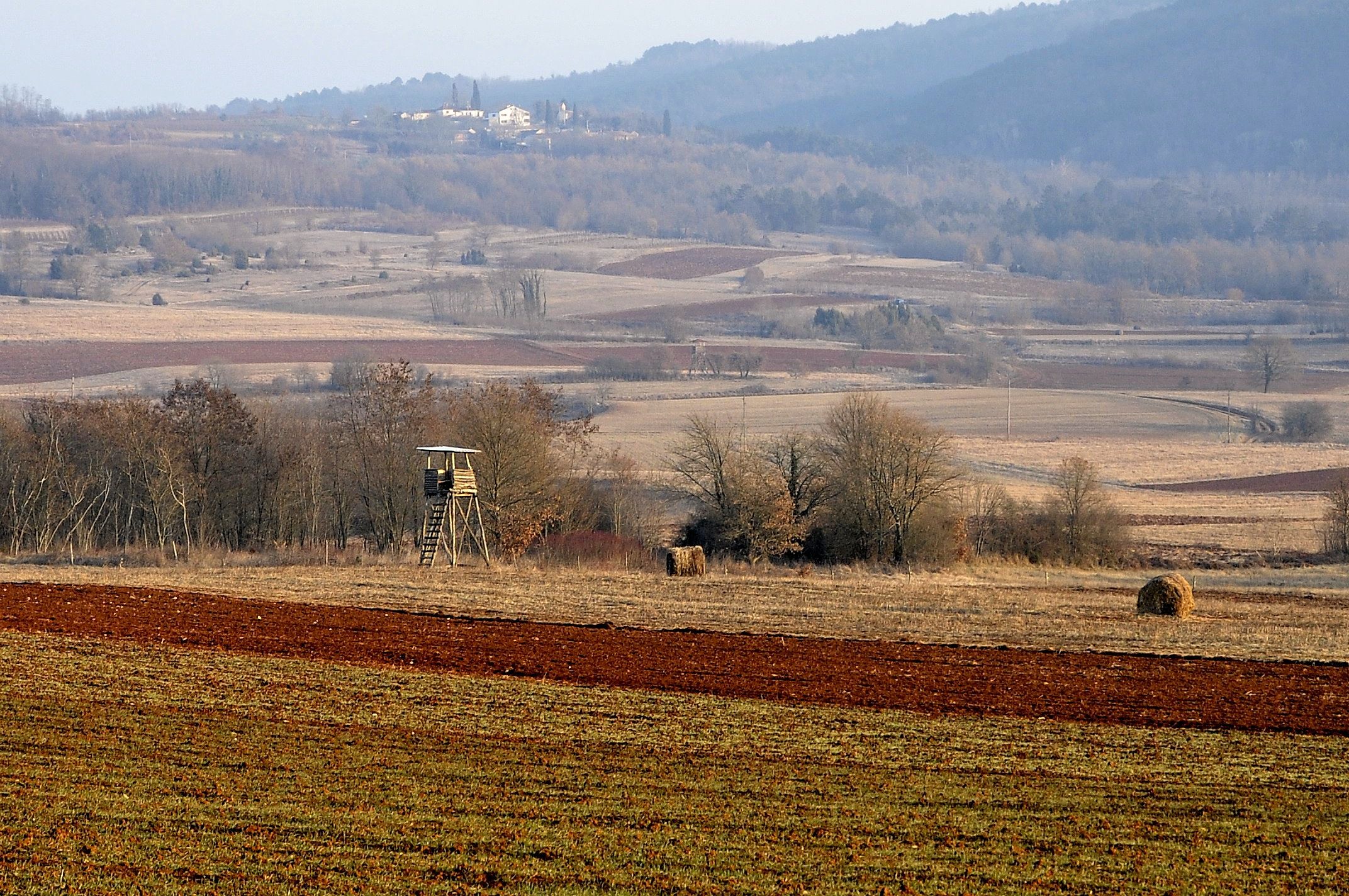 in winter