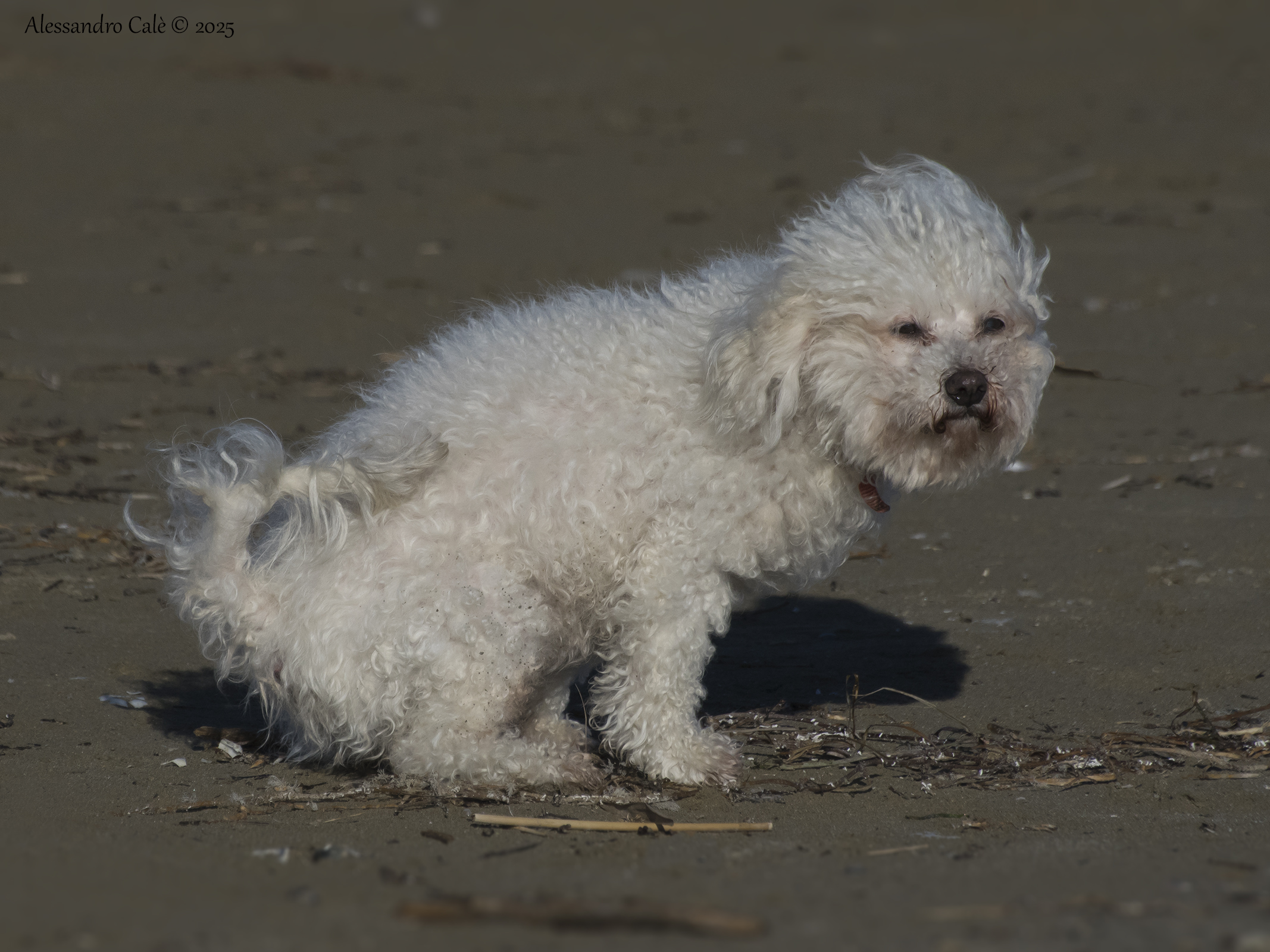 At least some privacy 7748