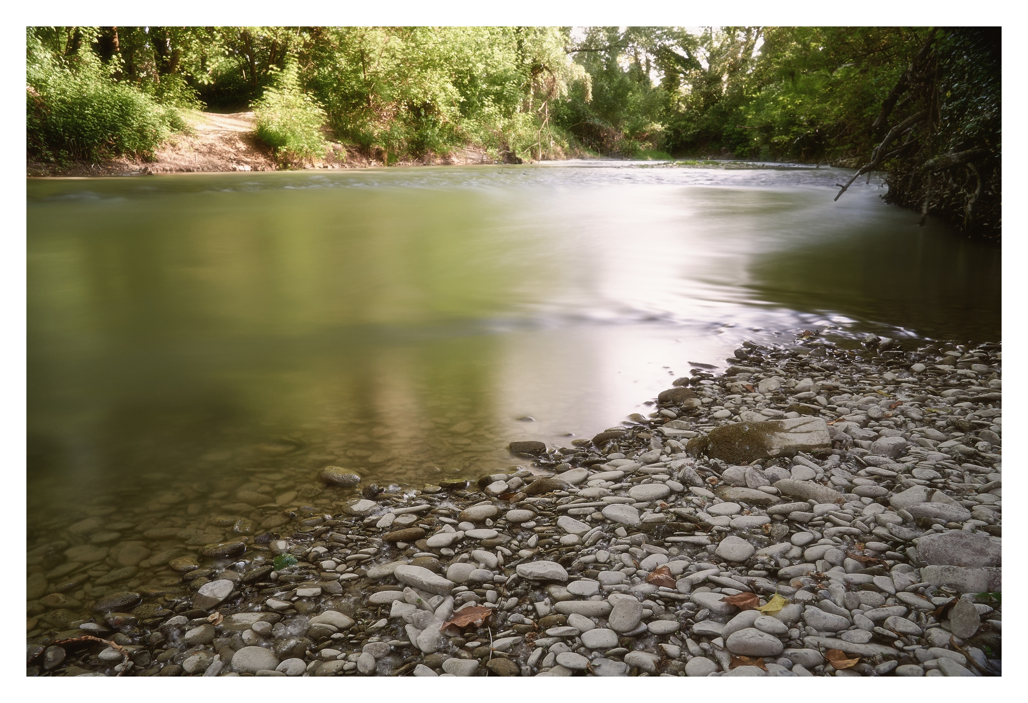 Fiume Bidente 2023
