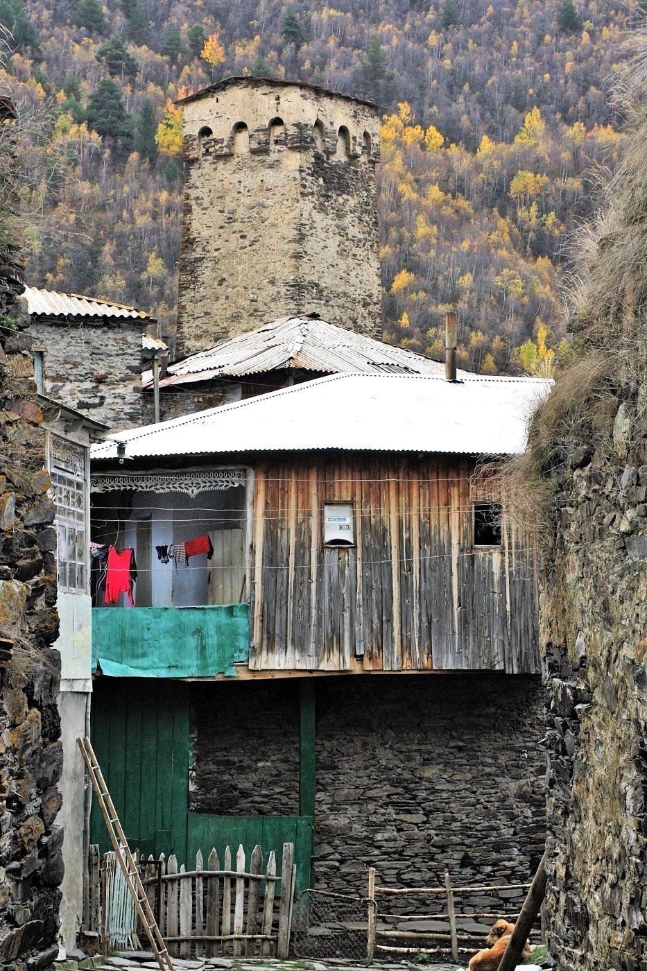 The house and the tower