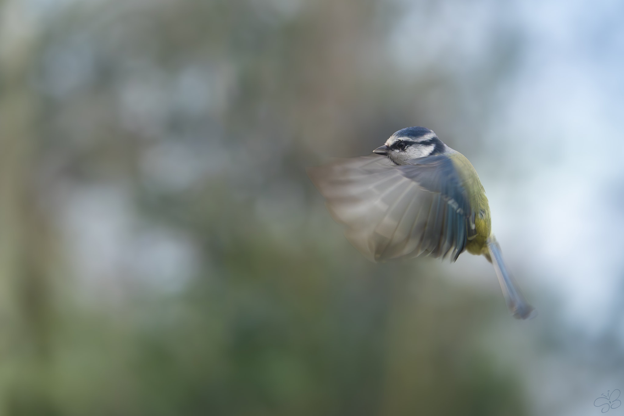 Flight tests at the hutAdalgisio