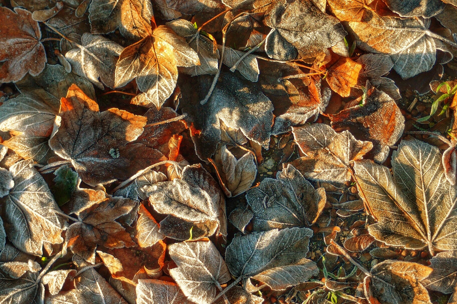 Cimitero del Père-Lachaise - The end