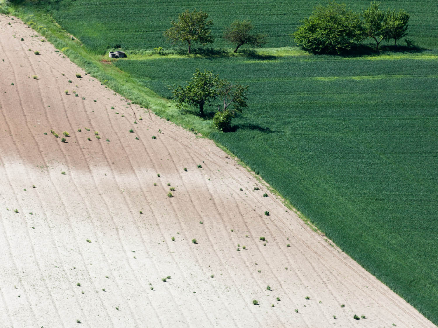 segmenti di paesaggio