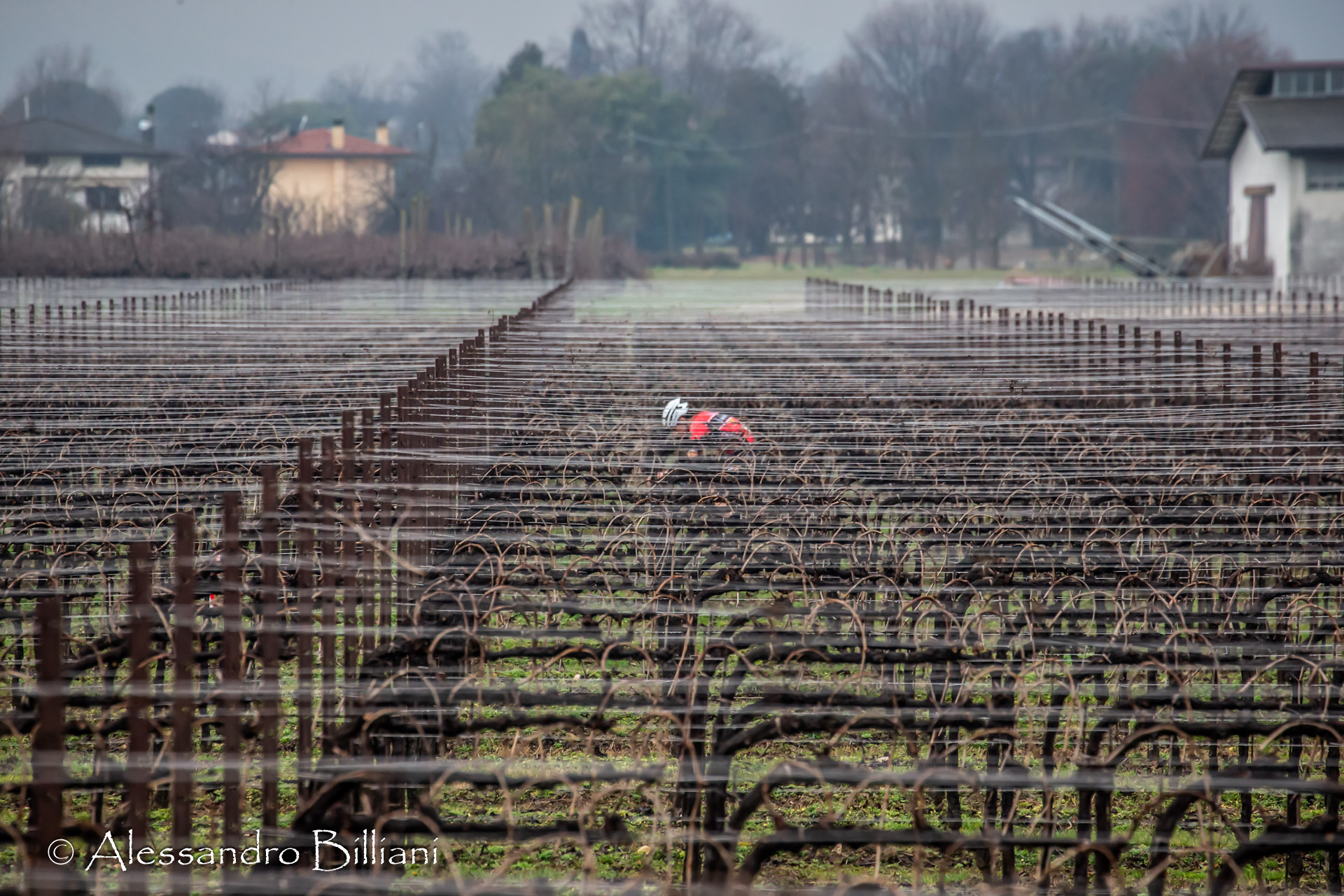 Correndo tra i vigneti