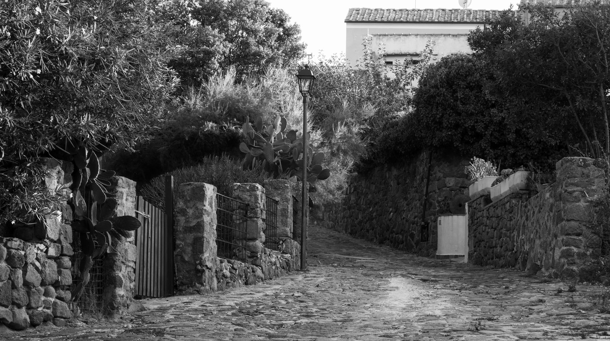 A street in the center of the village
