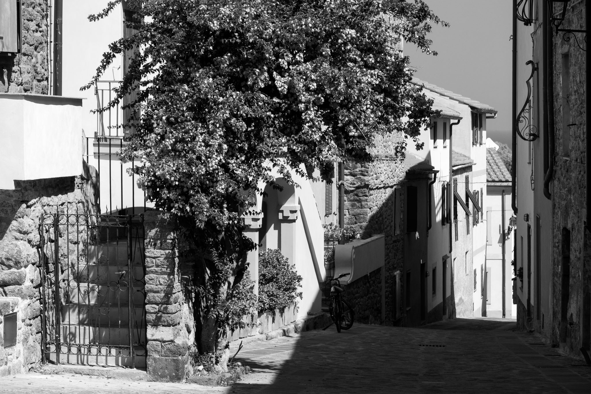 A street in the center of the village