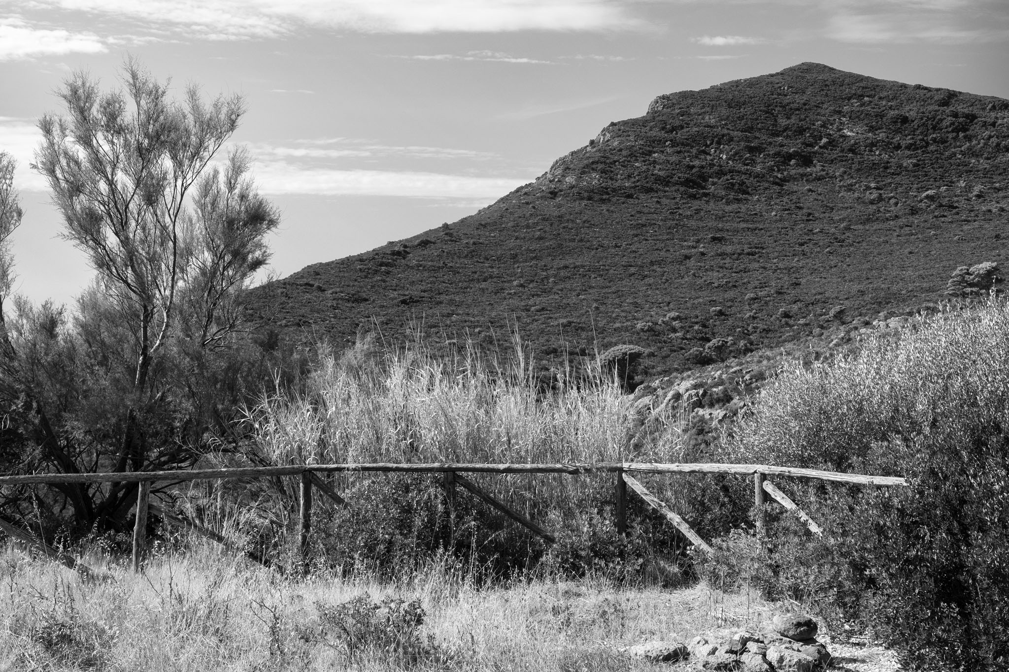 A path inside the island