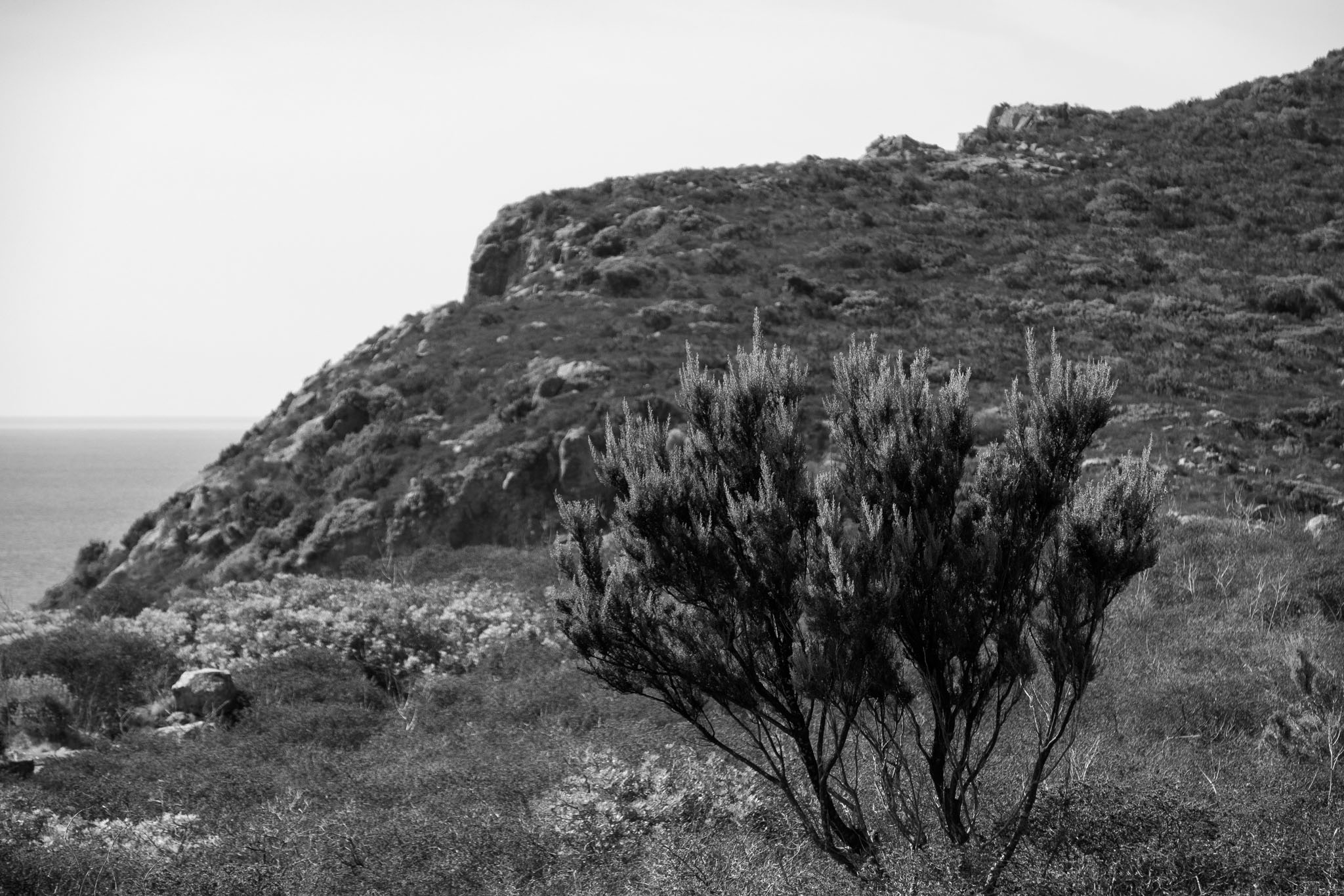 Towards Cala dello Zurletto