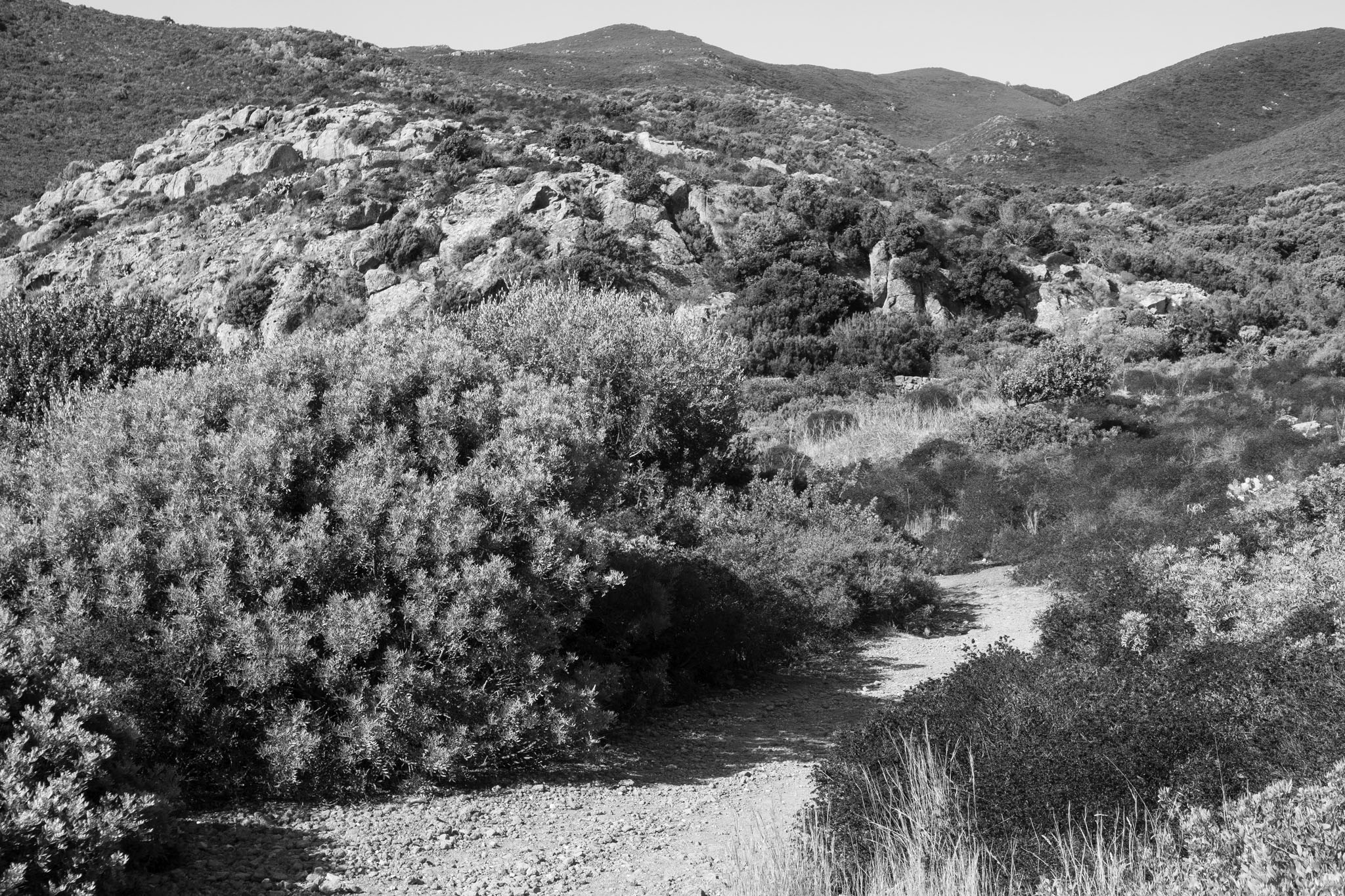 A path inside the island