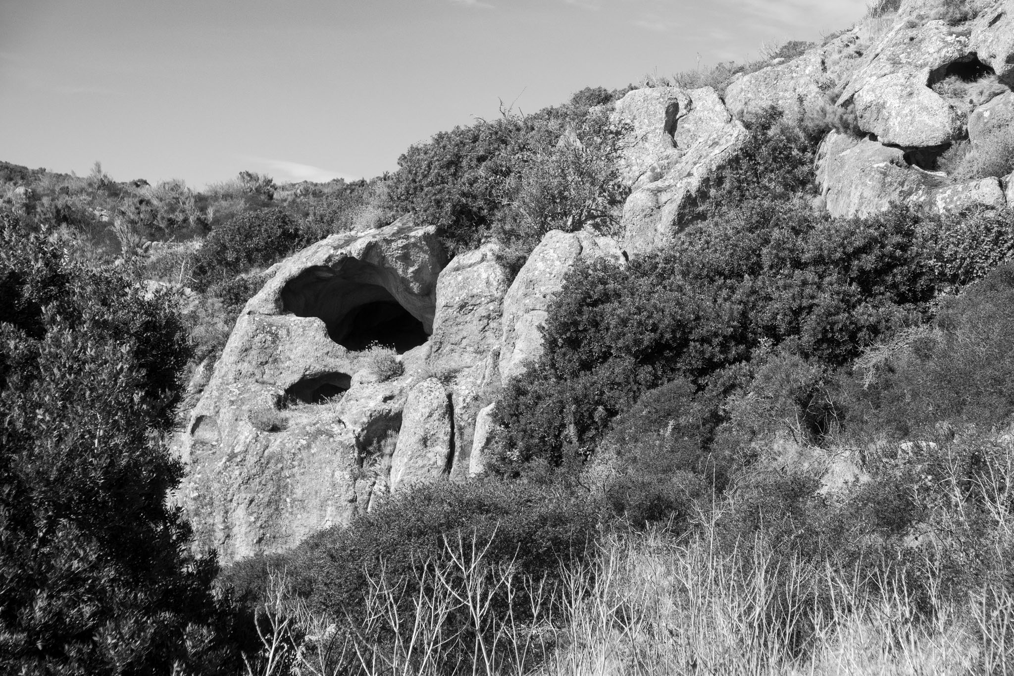 Rocks and vegetation