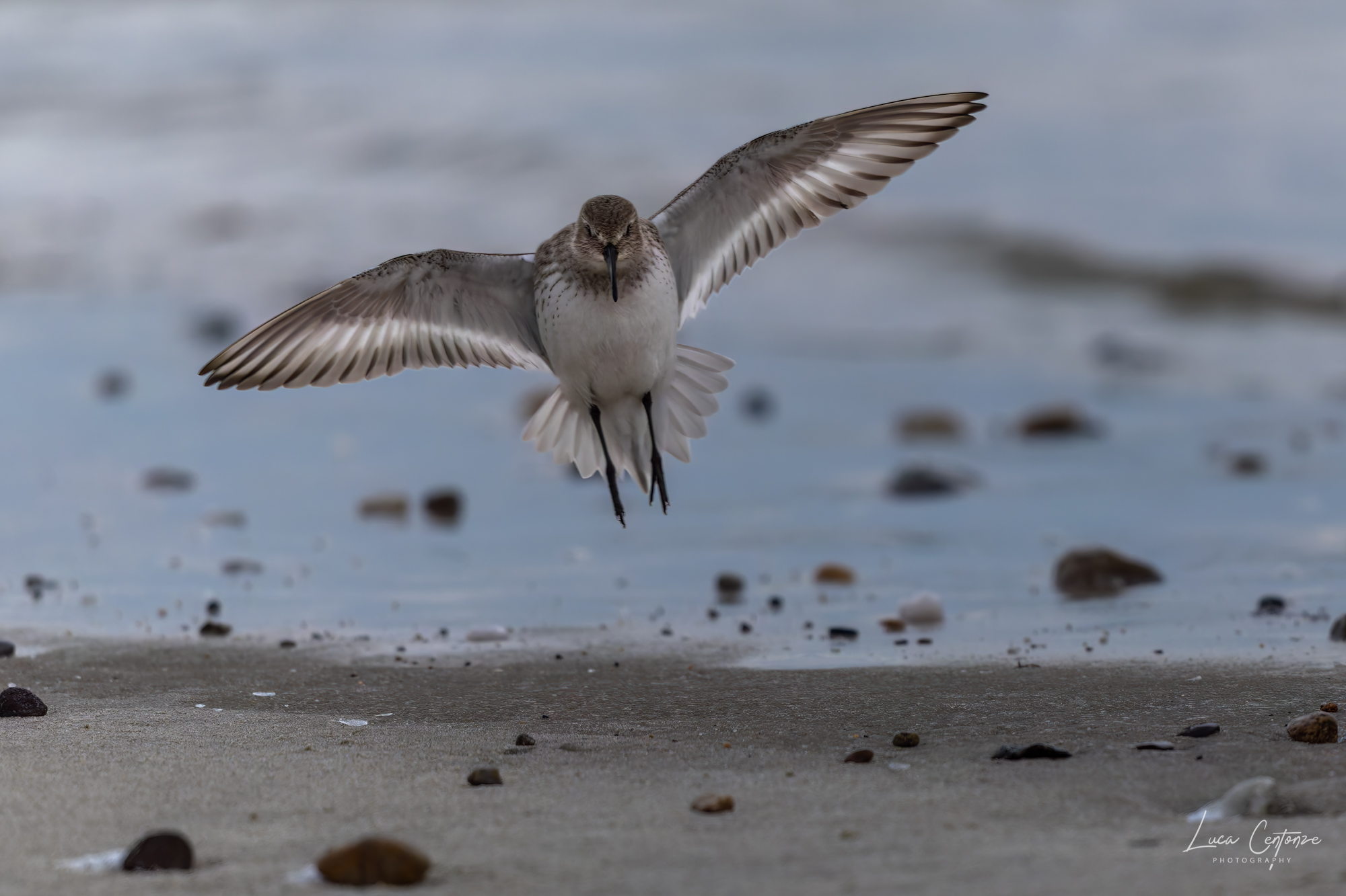 On the beach in winter