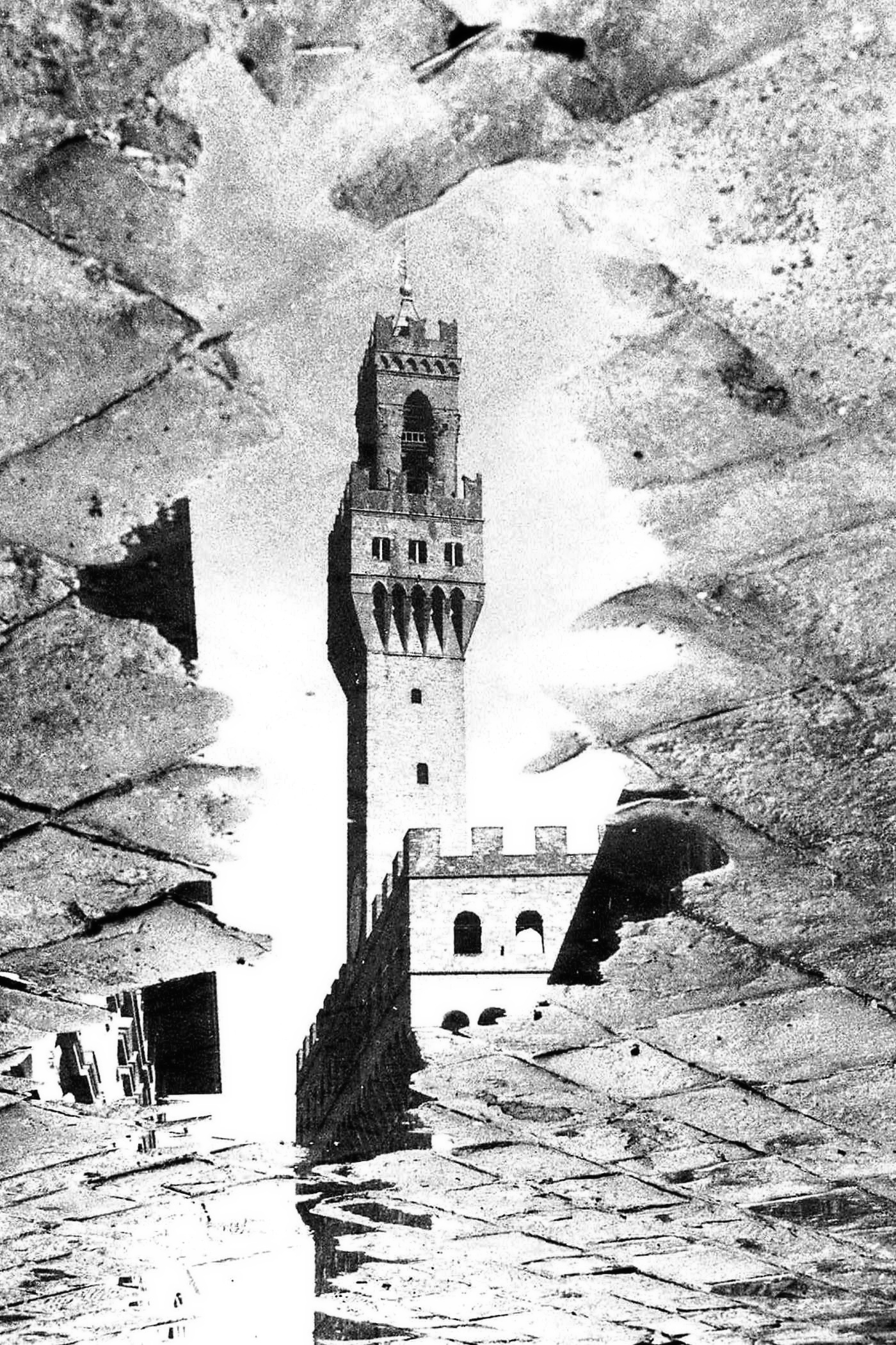 Omaggio ad una cartolina di Firenze (Piero Moschi)