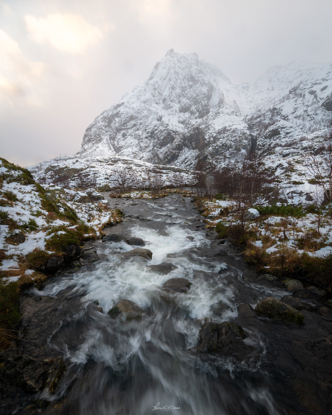 Frozen Flow