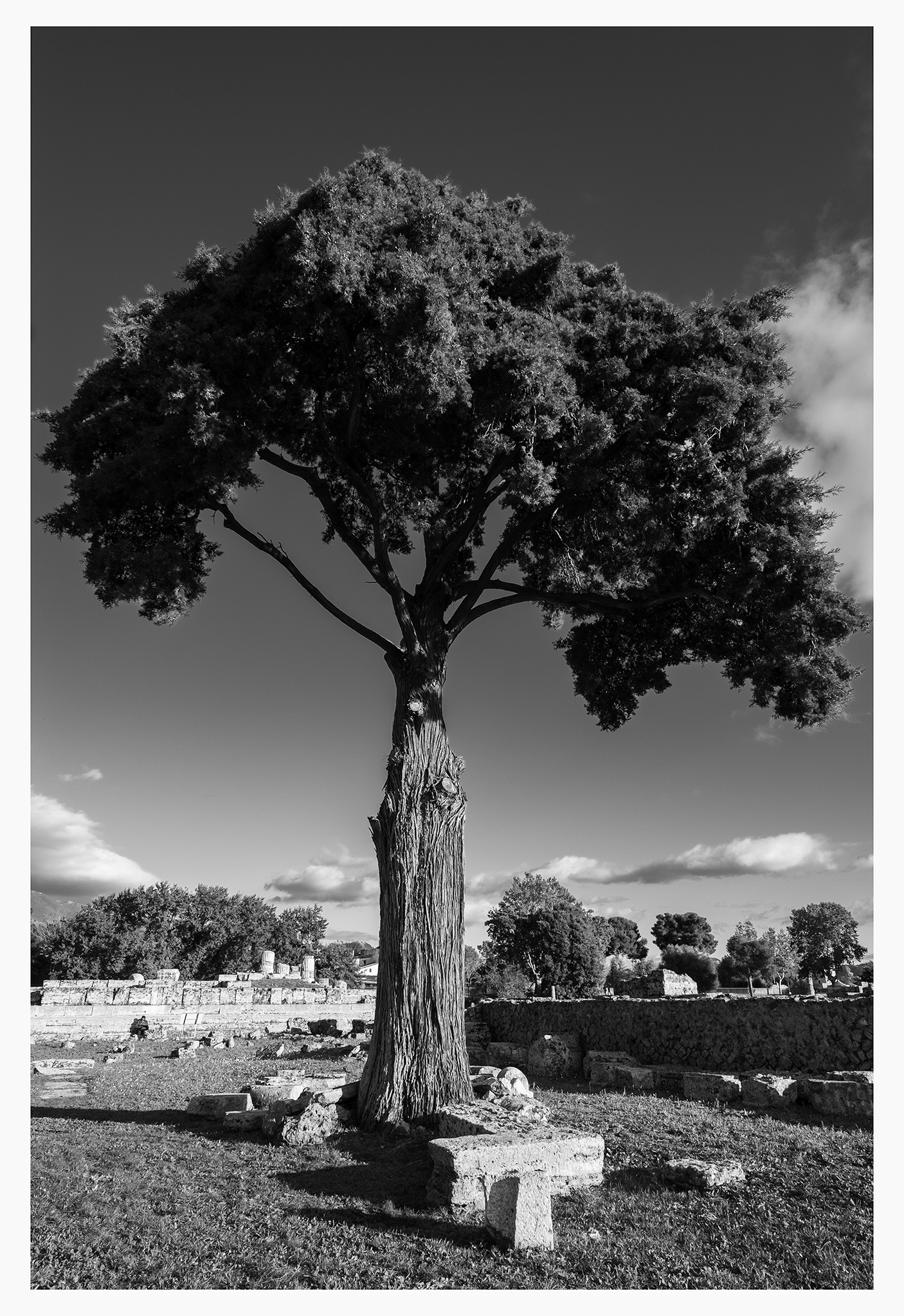 silent guardian of time and life